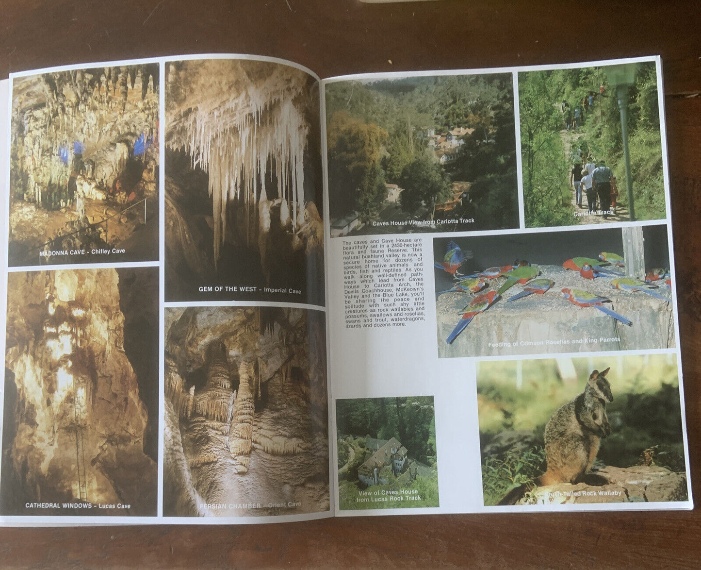 PB JENOLAN CAVES Australia New South Wales by Bartel Photography Book 1992 NSW