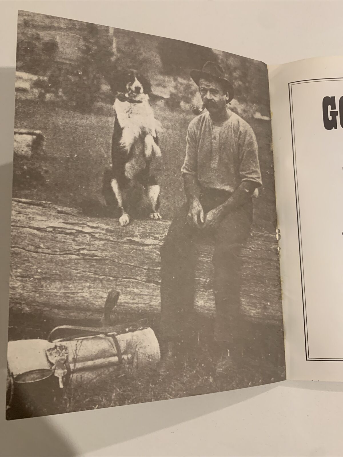 GONE BUSH in New South Wales Garry Reynolds History Gold Rush PB 1st Ed 1984 NSW