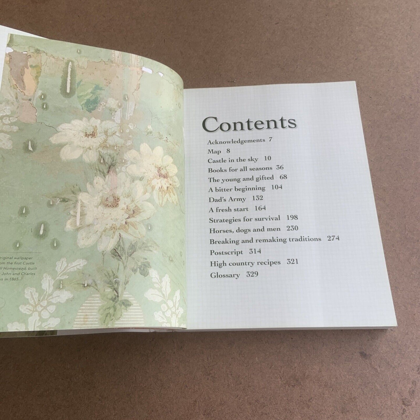 THE ROAD TO CASTLE HILL Christine Fernyhough High Country Station New Zealand PB