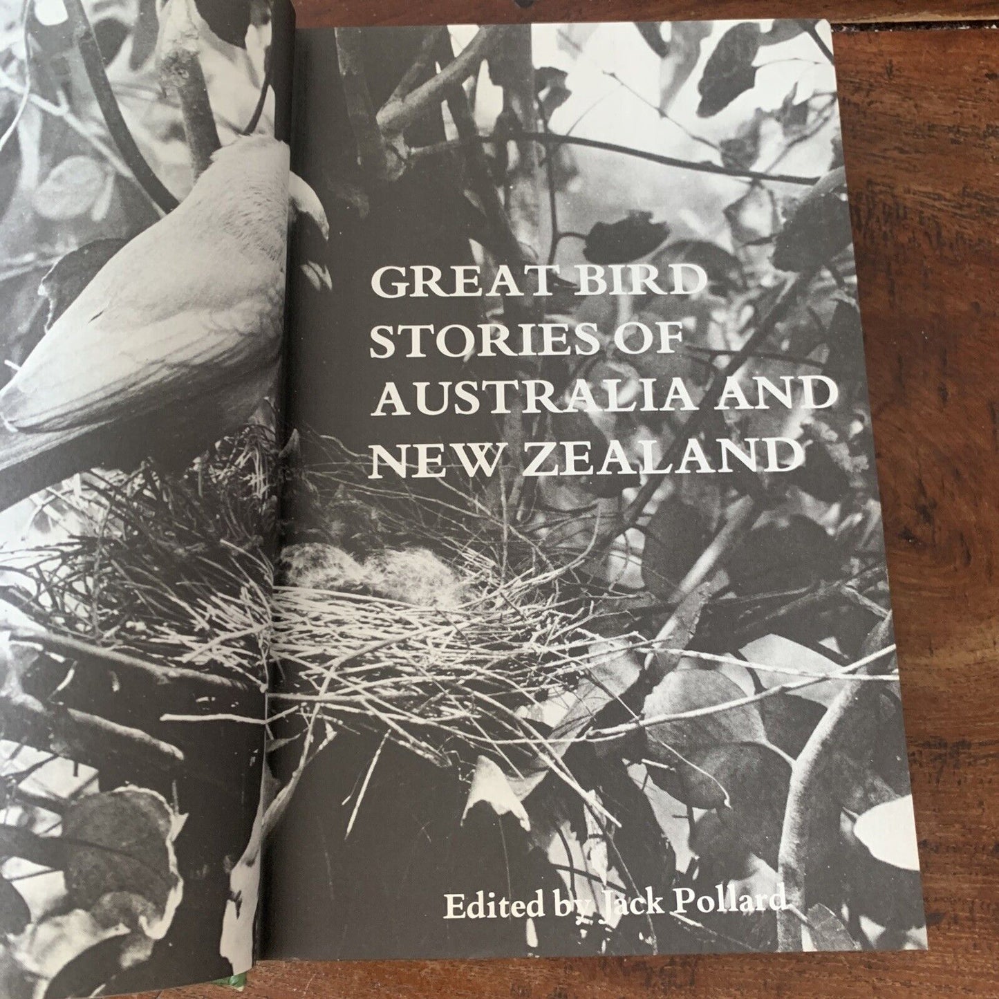 HC GREAT BIRD STORIES of Australia and New Zealand By Jack Pollard HC DJ 1968