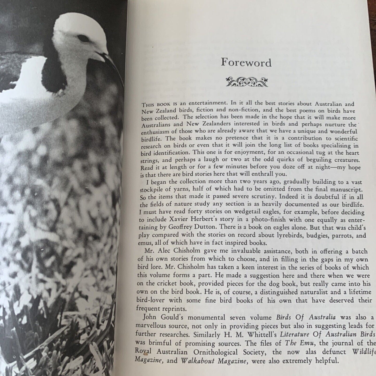 HC GREAT BIRD STORIES of Australia and New Zealand By Jack Pollard HC DJ 1968