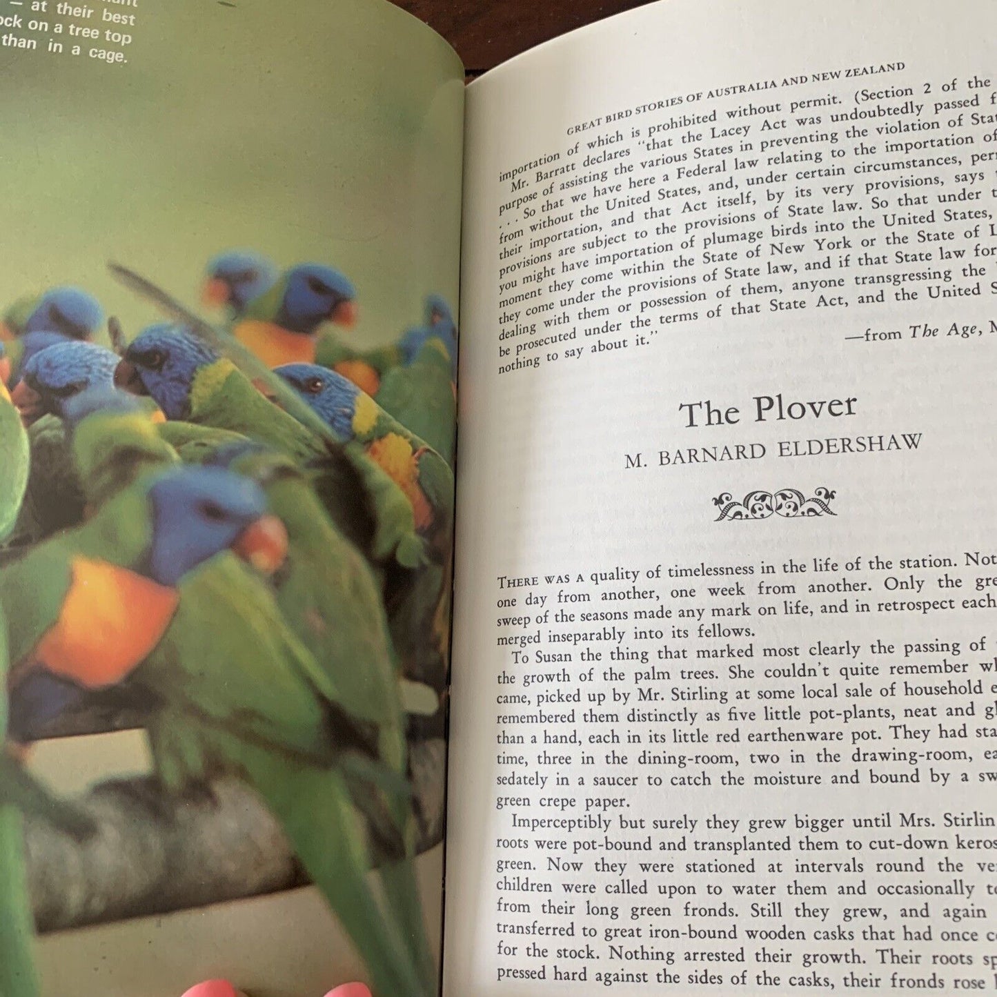 HC GREAT BIRD STORIES of Australia and New Zealand By Jack Pollard HC DJ 1968