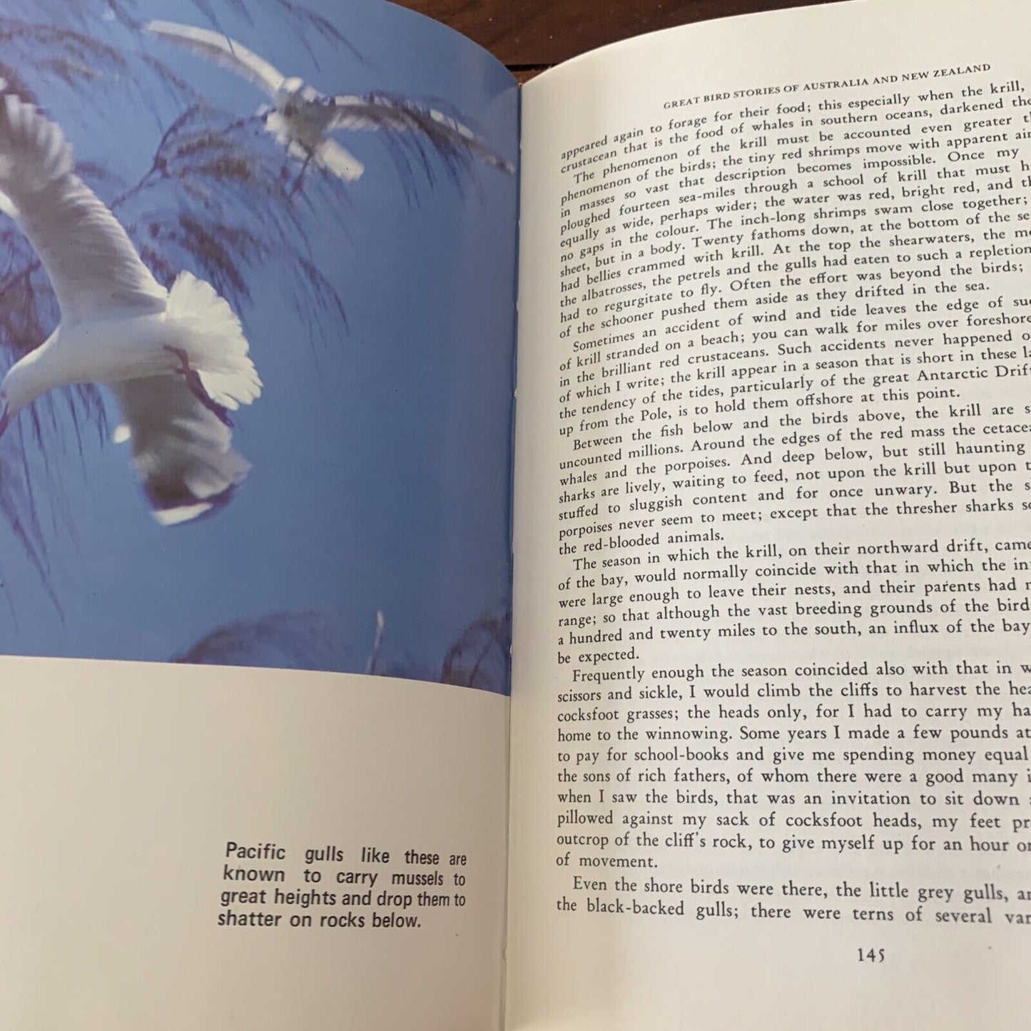 HC GREAT BIRD STORIES of Australia and New Zealand By Jack Pollard HC DJ 1968