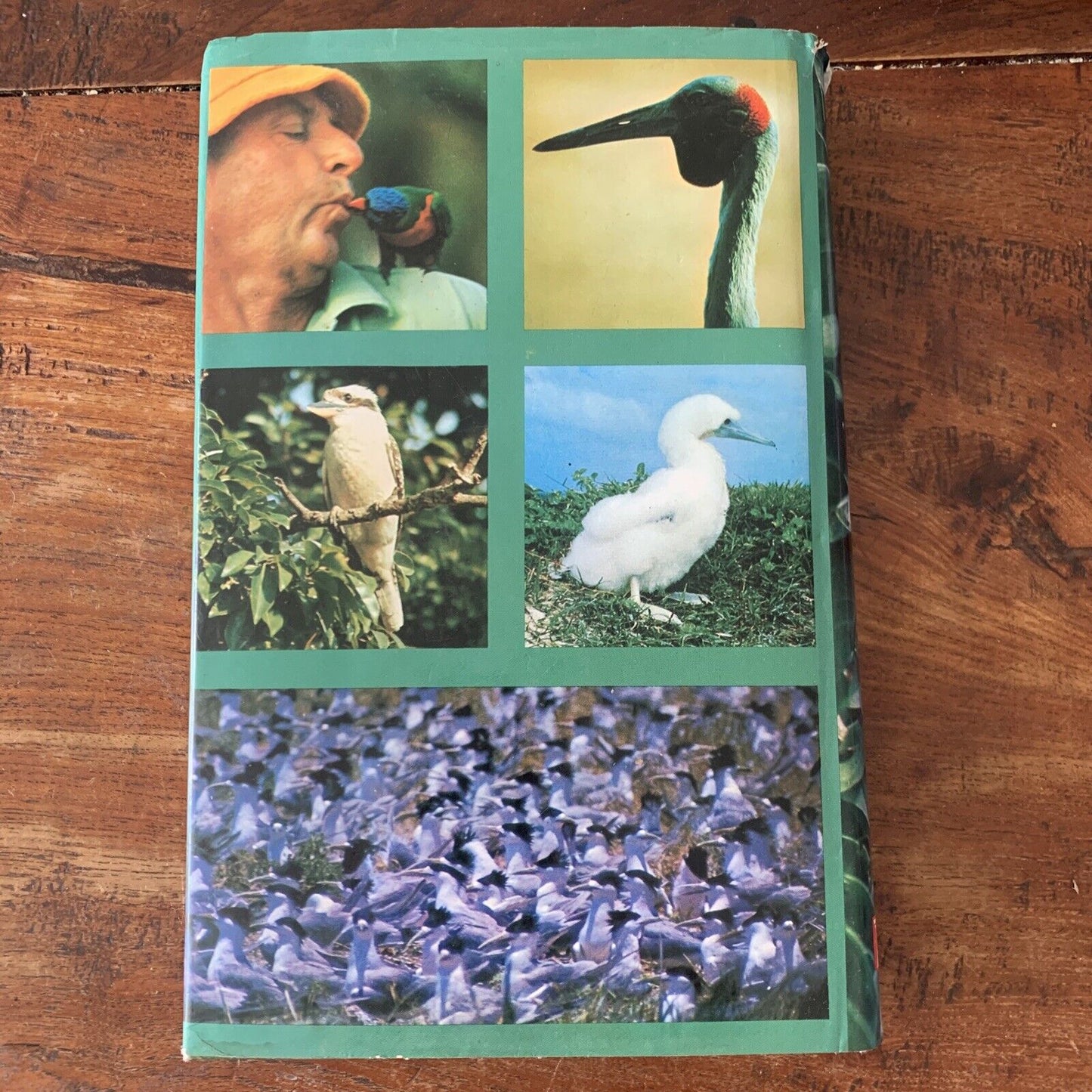 HC GREAT BIRD STORIES of Australia and New Zealand By Jack Pollard HC DJ 1968