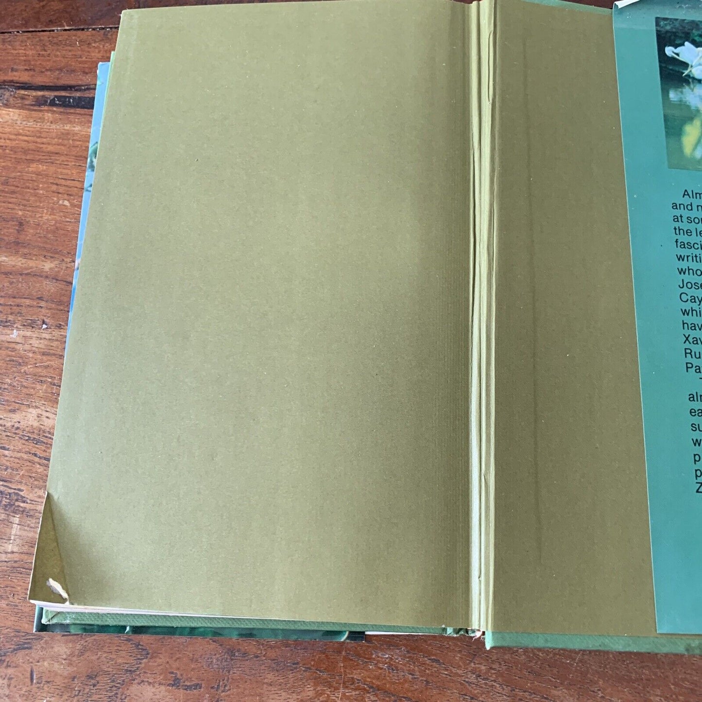 HC GREAT BIRD STORIES of Australia and New Zealand By Jack Pollard HC DJ 1968