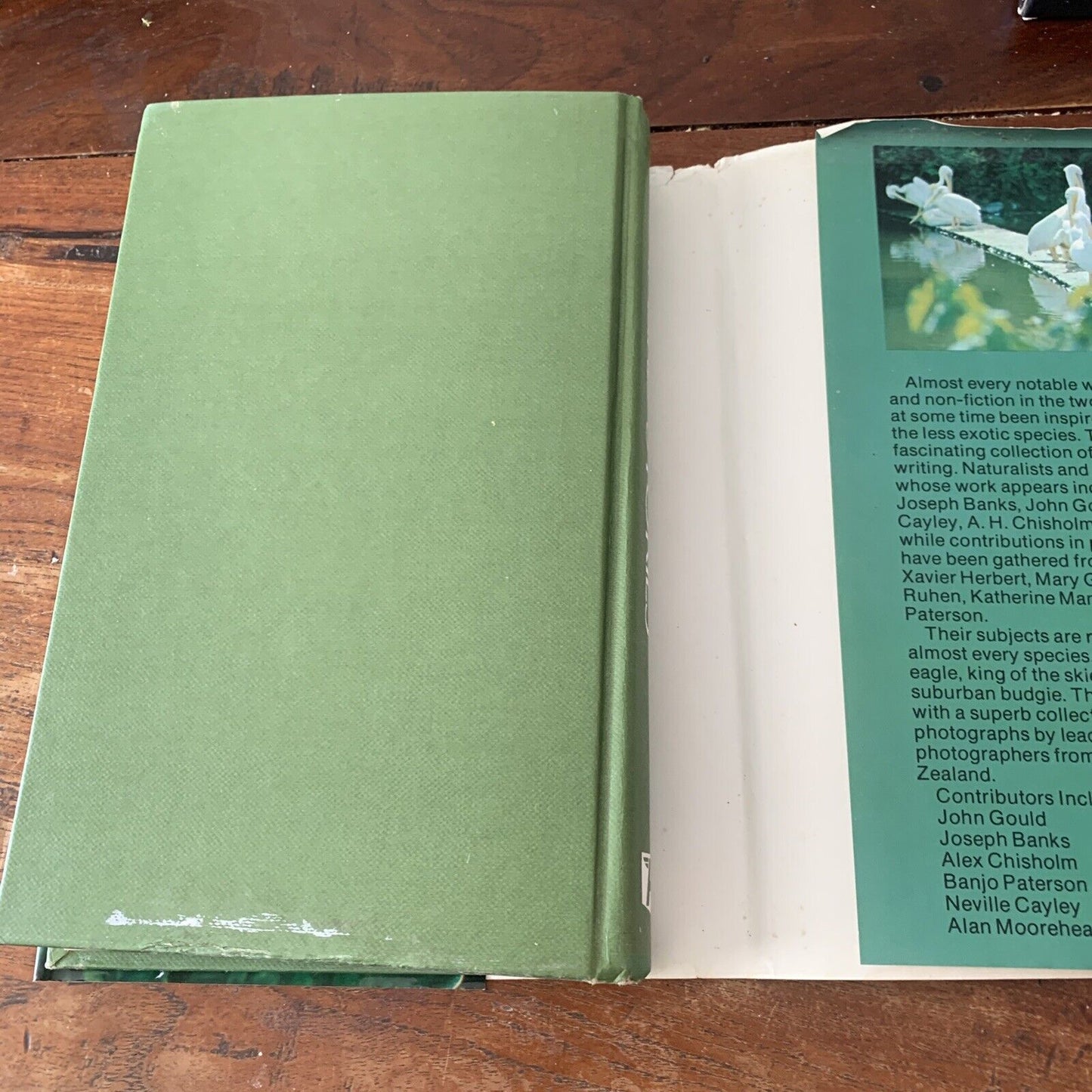 HC GREAT BIRD STORIES of Australia and New Zealand By Jack Pollard HC DJ 1968
