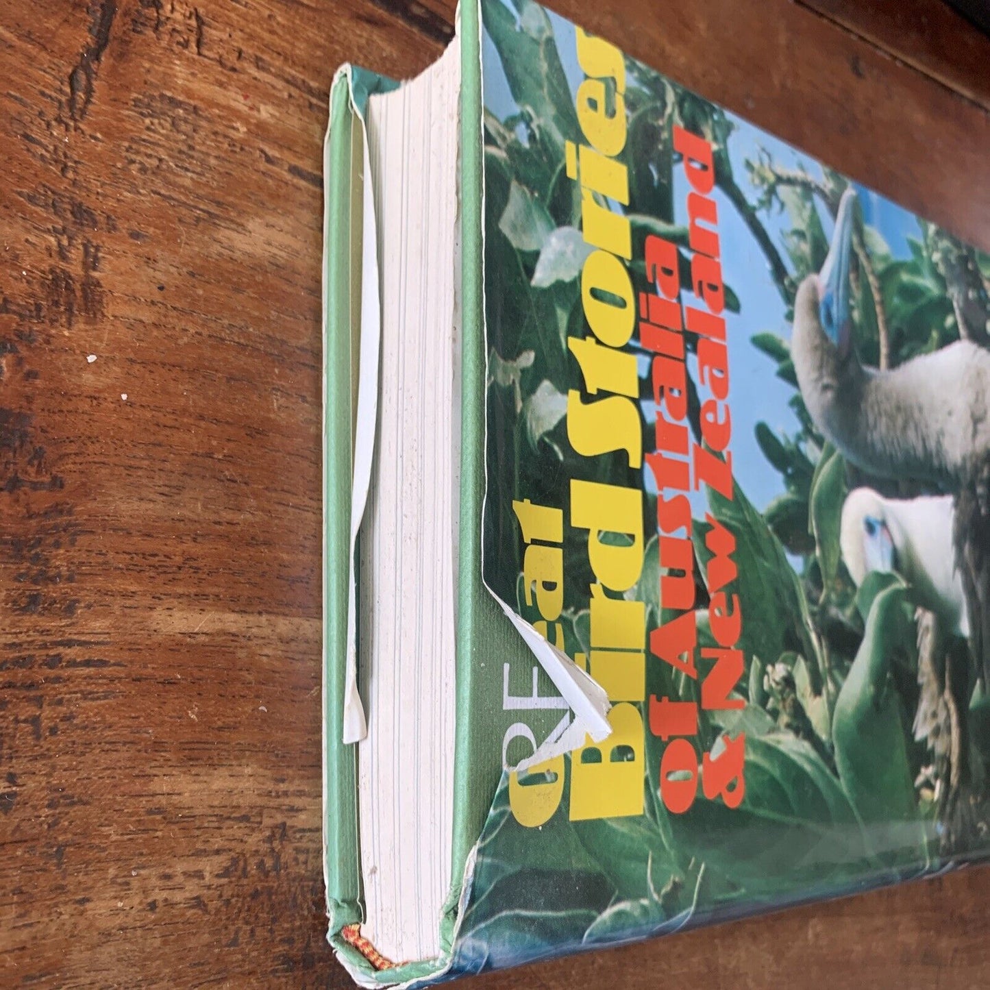 HC GREAT BIRD STORIES of Australia and New Zealand By Jack Pollard HC DJ 1968