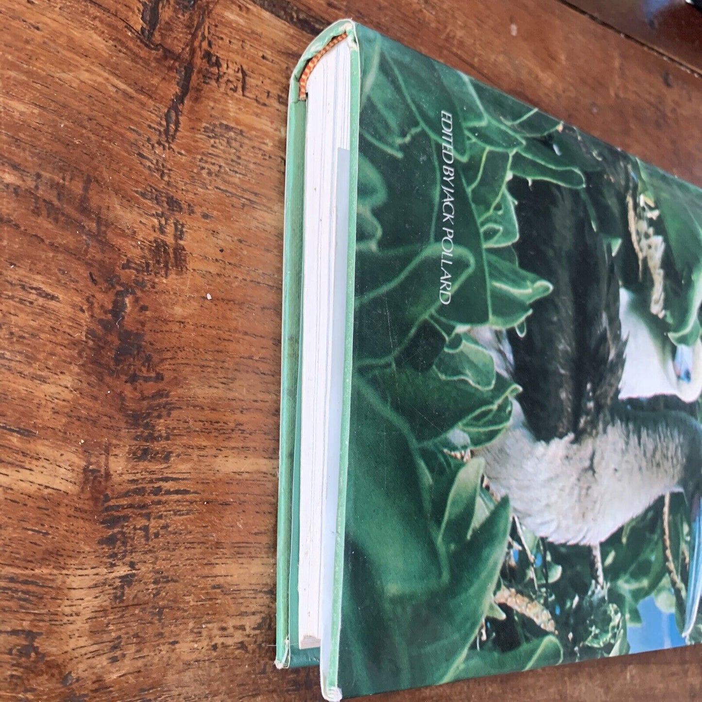 HC GREAT BIRD STORIES of Australia and New Zealand By Jack Pollard HC DJ 1968