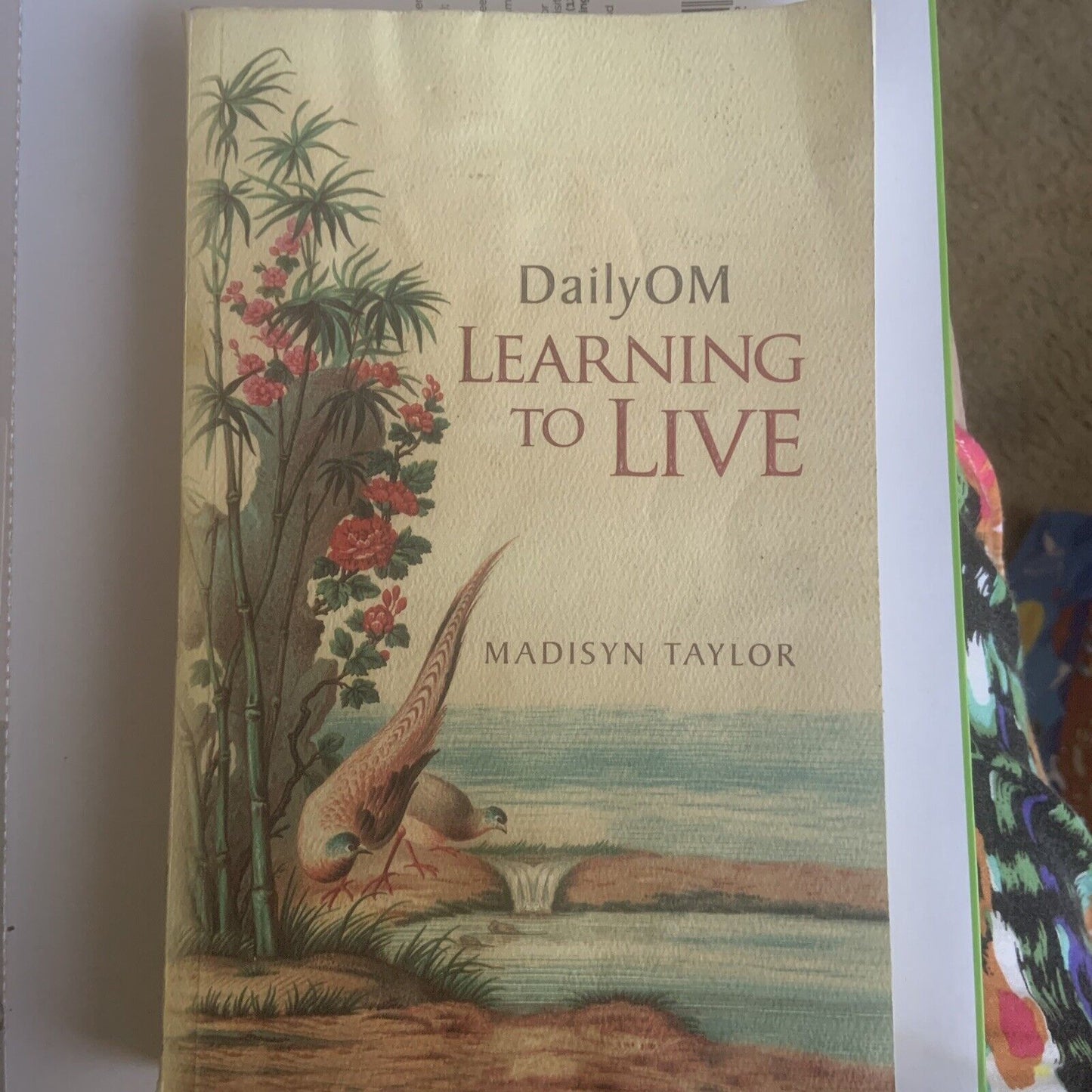 DailyOM Learning to Live by Madisyn Taylor PB  2011 New Age Spiritual Daily Om