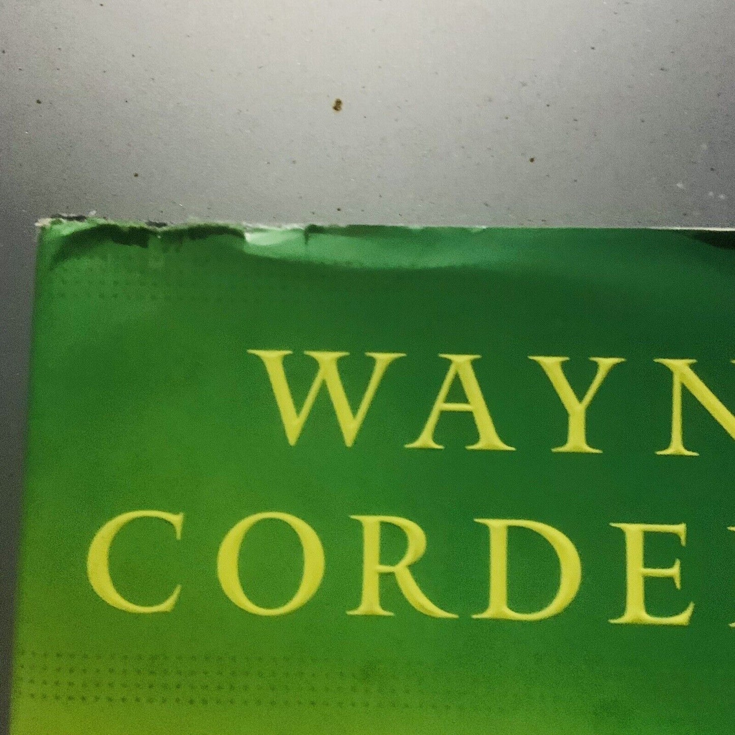THE DIVINE MENTOR Growing Your Faith Wayne Cordiero Spiritual Development 2007