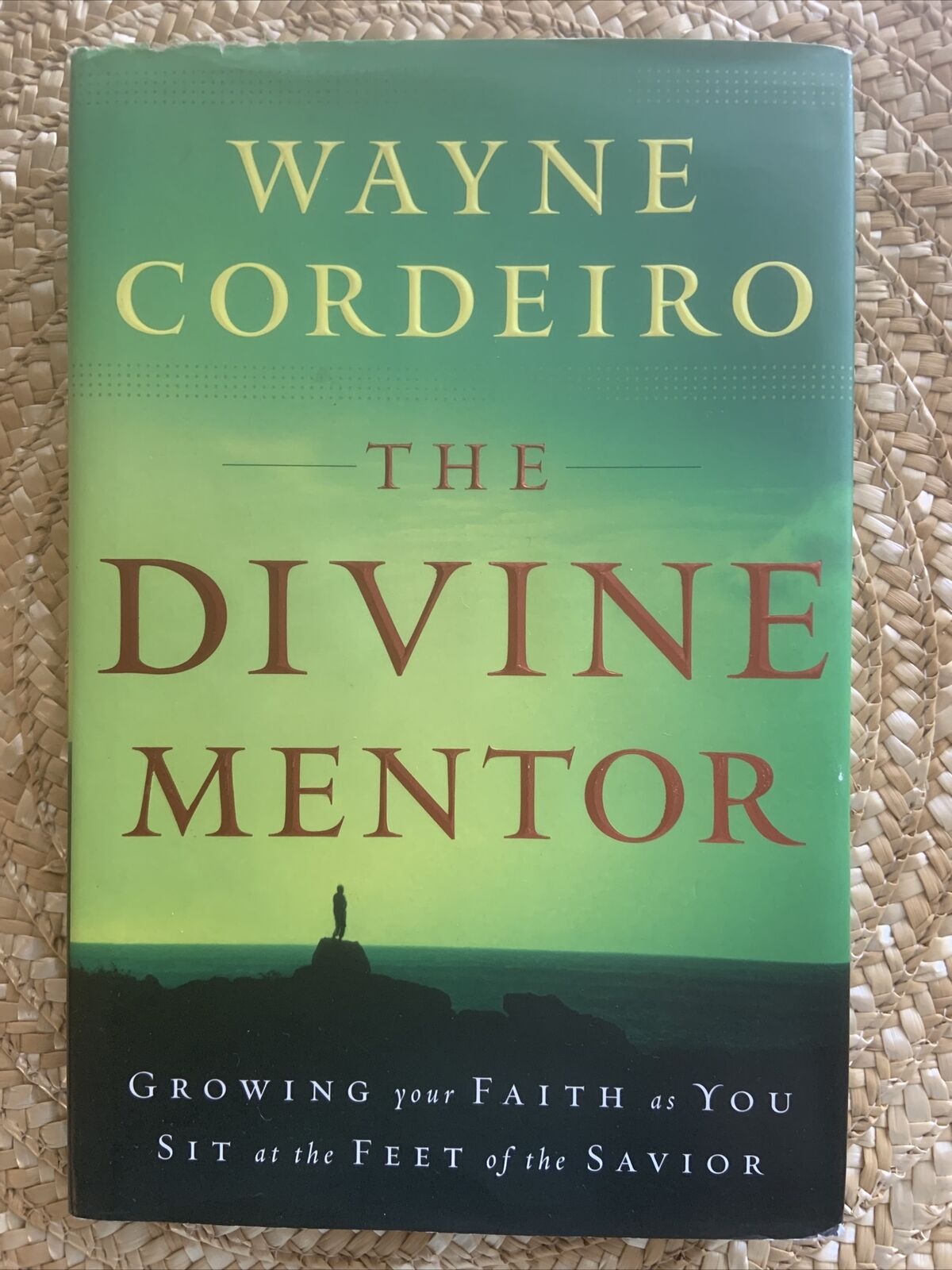 THE DIVINE MENTOR Growing Your Faith Wayne Cordiero Spiritual Development 2007