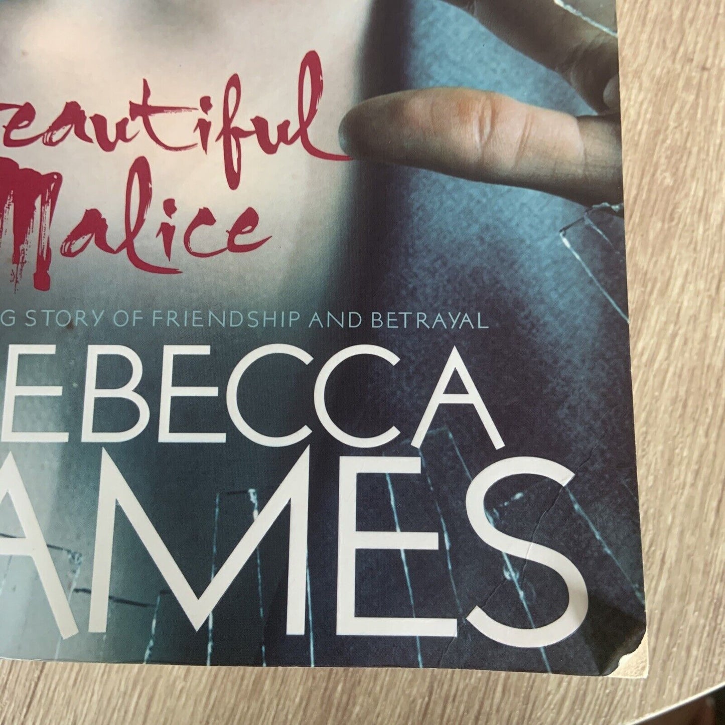 Fiction PB BEAUTIFUL MALICE Rebecca James Lg Book 2010 Psychological Thriller