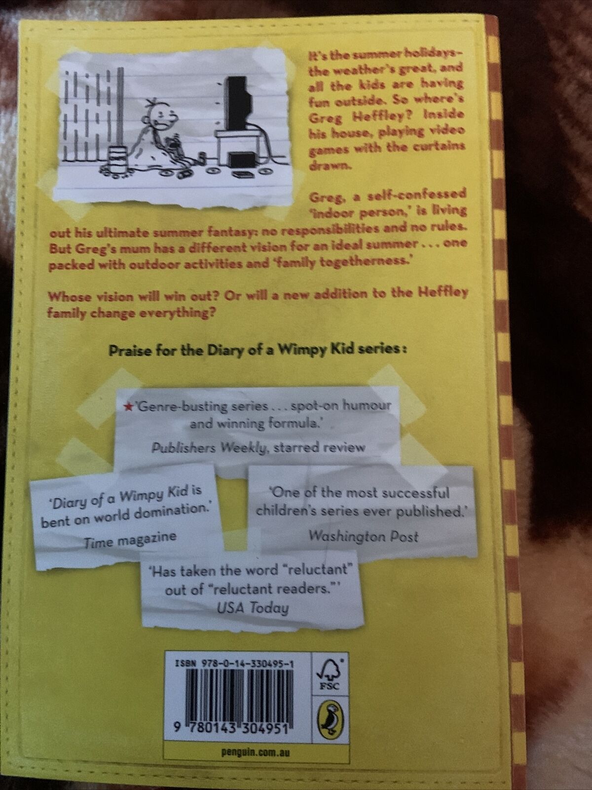 Fiction PB  DIARY OF A WIMPY KID Dog Days By Jeff Kinney Kids Book