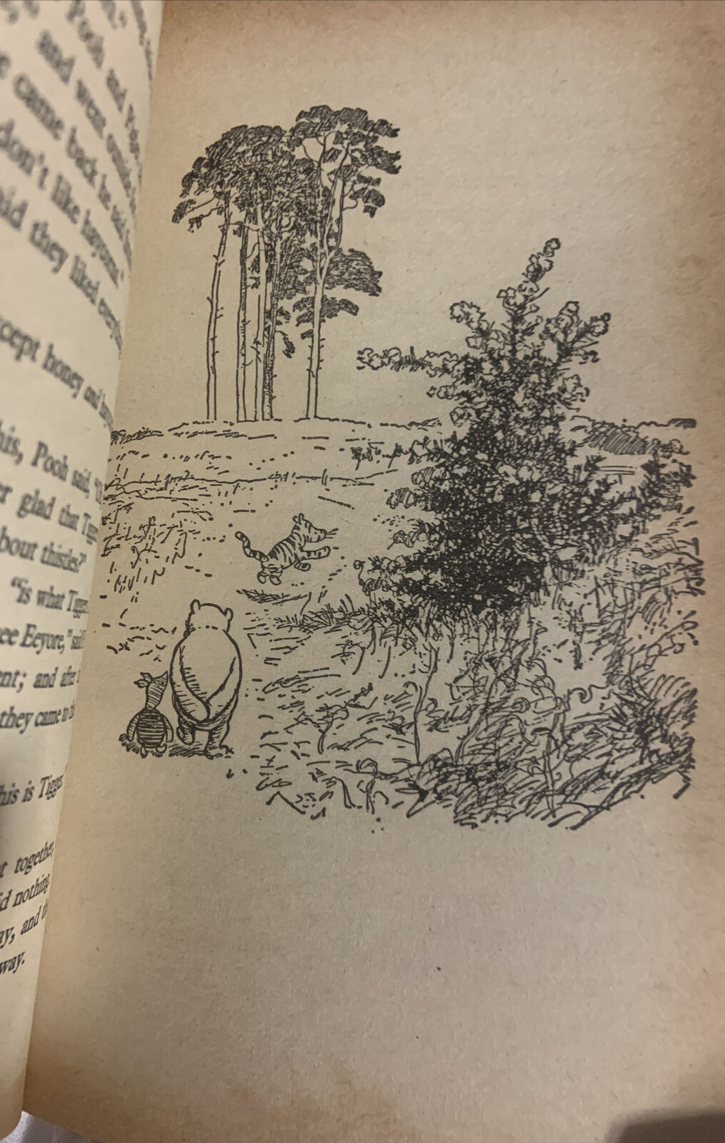 Fiction PB THE HOUSE AT POOH CORNER A.A Milne 1974 Adventure Fantasy Young Adult