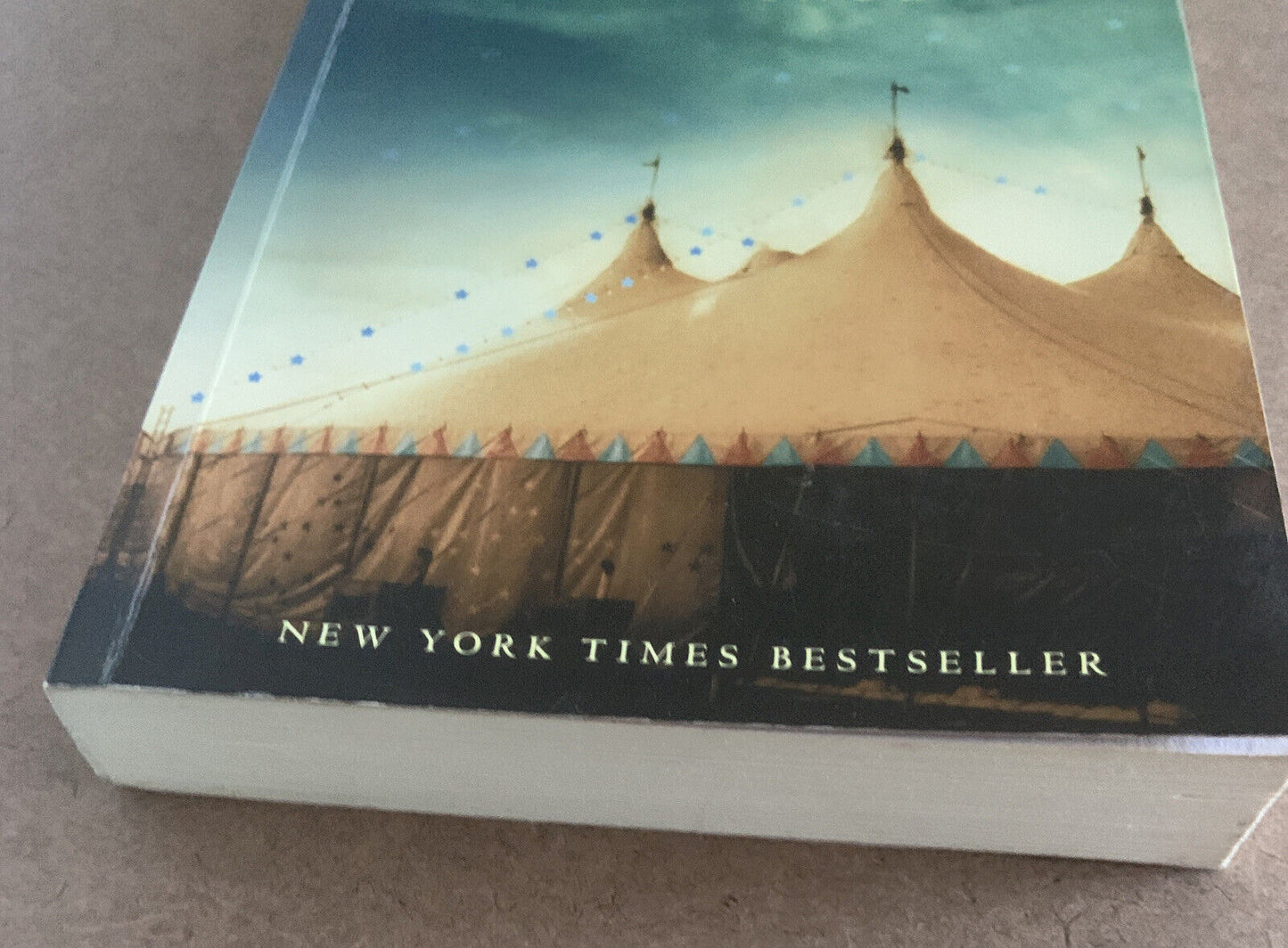 Fiction PB WATER FOR ELEPHANTS by Sara Gruen Women's Romance PB Book 2006