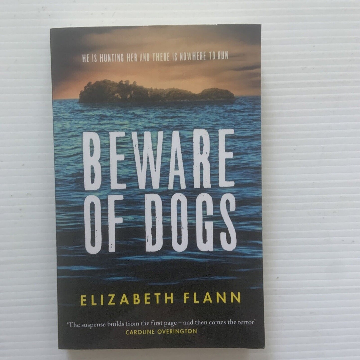 BEWARE OF DOGS by Elizabeth Flann 2021 Australian Survival Thriller Fiction NEW