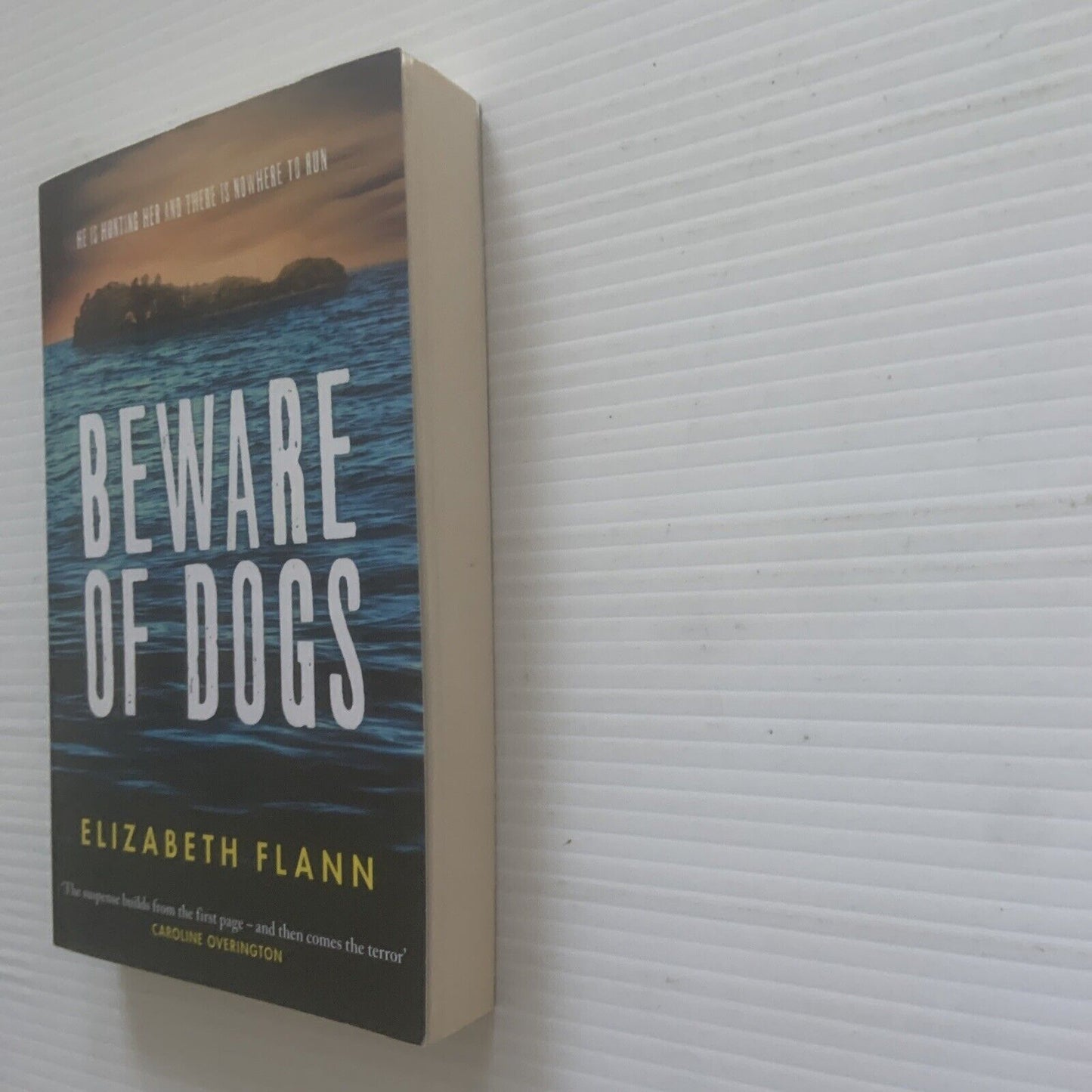 BEWARE OF DOGS by Elizabeth Flann 2021 Australian Survival Thriller Fiction NEW