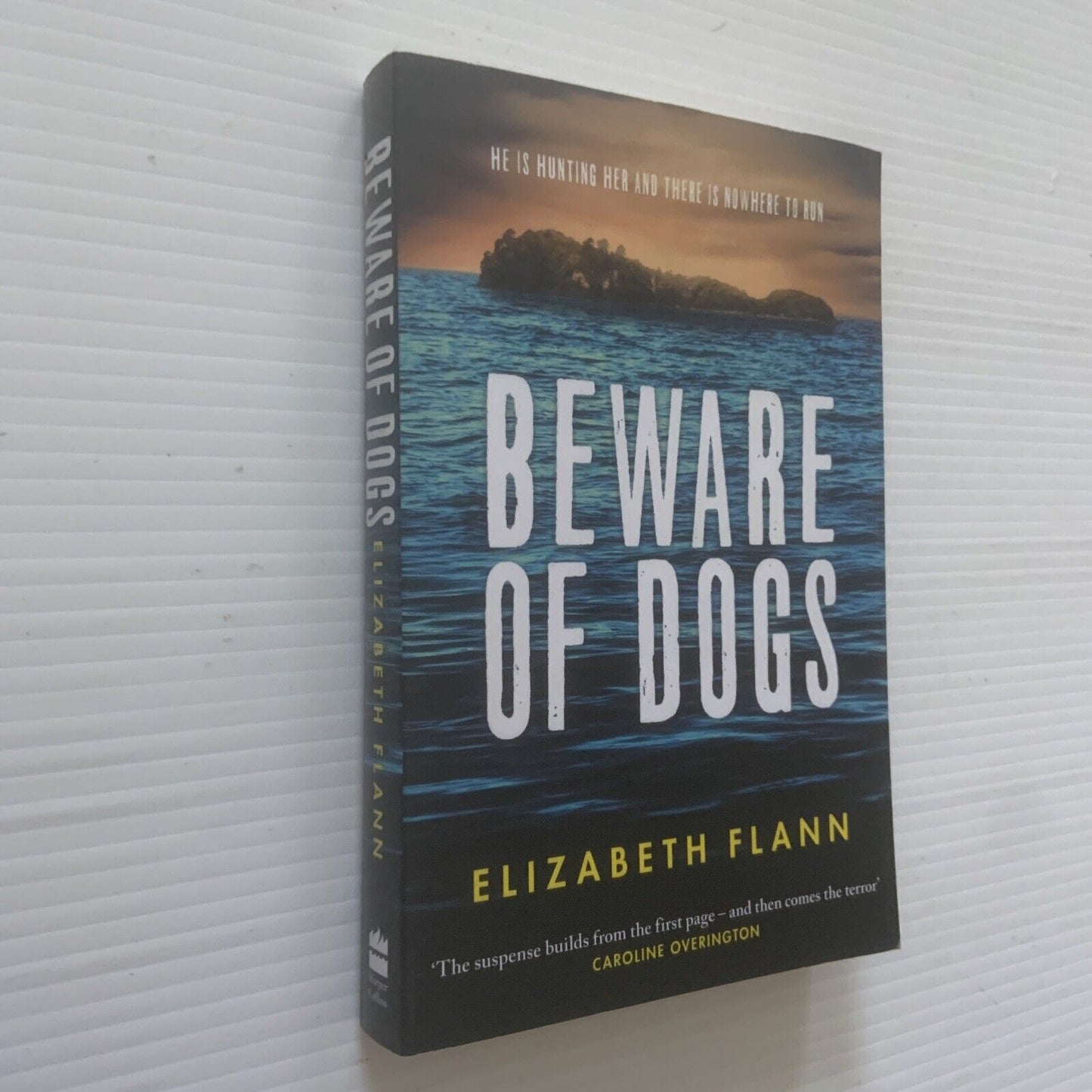 BEWARE OF DOGS by Elizabeth Flann 2021 Australian Survival Thriller Fiction NEW