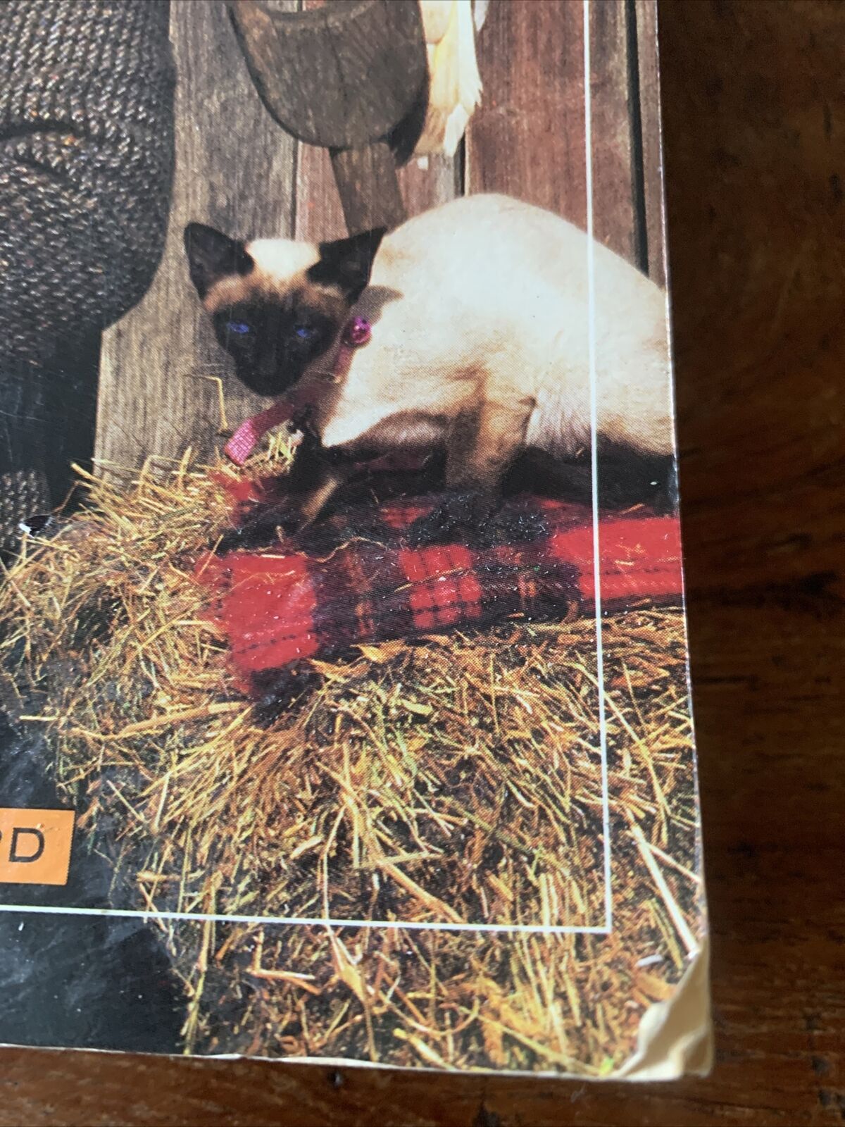 PB Dr HARRY COOPER’S Pet Care Guide 1991 Australian TV Vet Burkes Backyard VTG