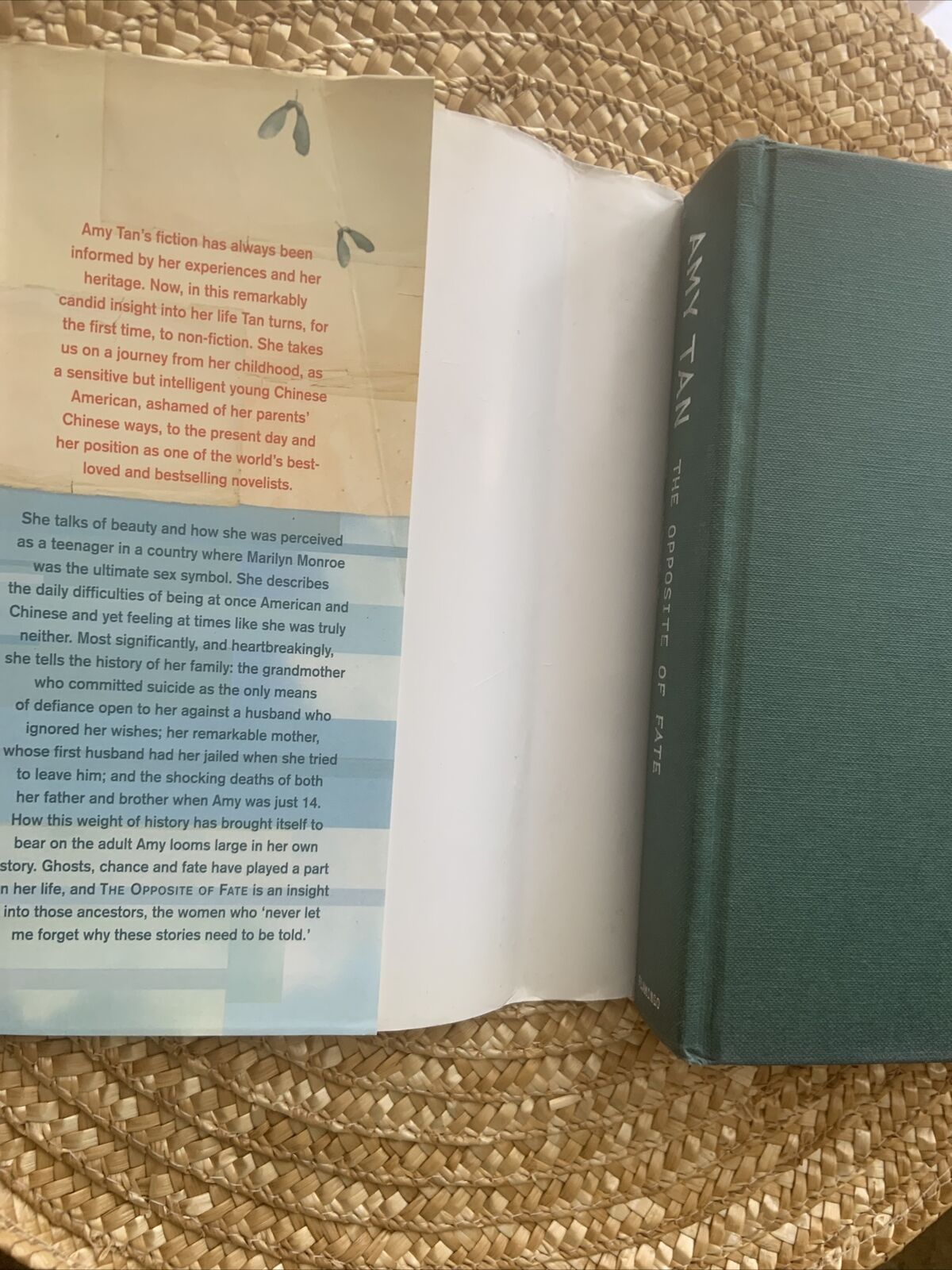 HC Book THE OPPOSITE OF FAITH By Amy Tan  Large DJ 2003 Biography True Stories