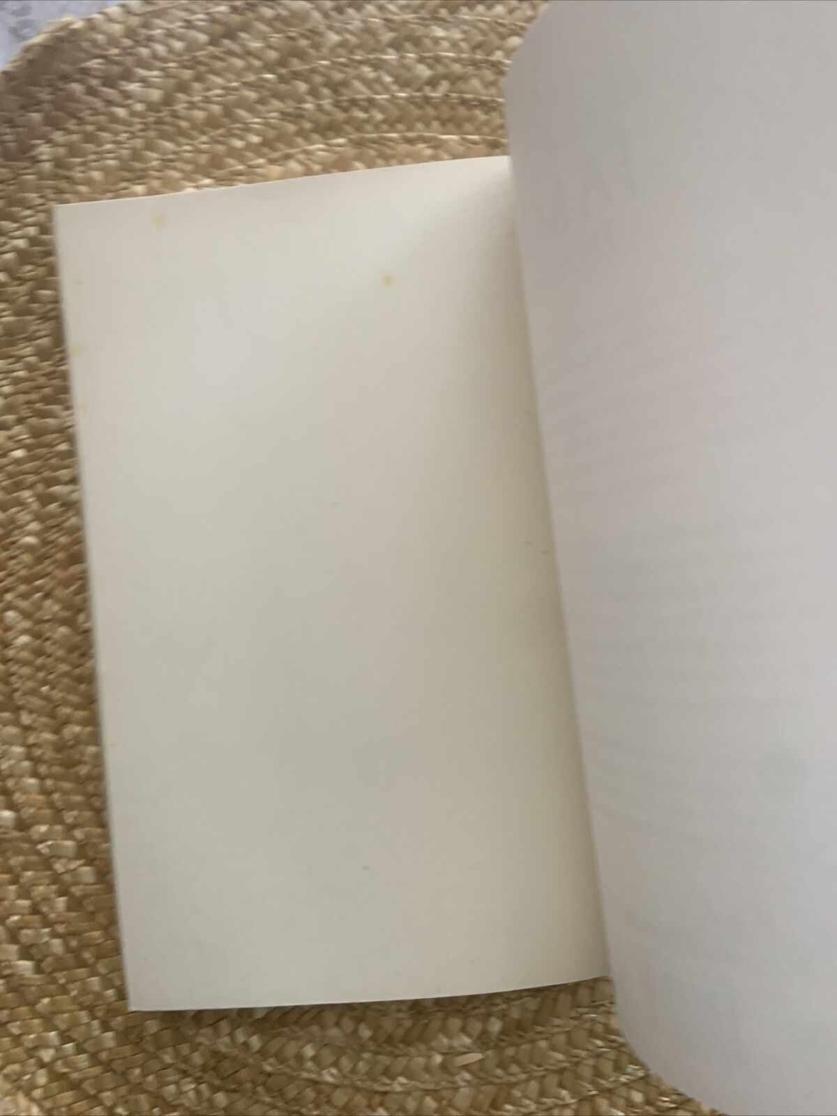 PB Book SHADES OF JAMIE DORNAN  by Jo Berry Biography Christian Grey 2015 NEW