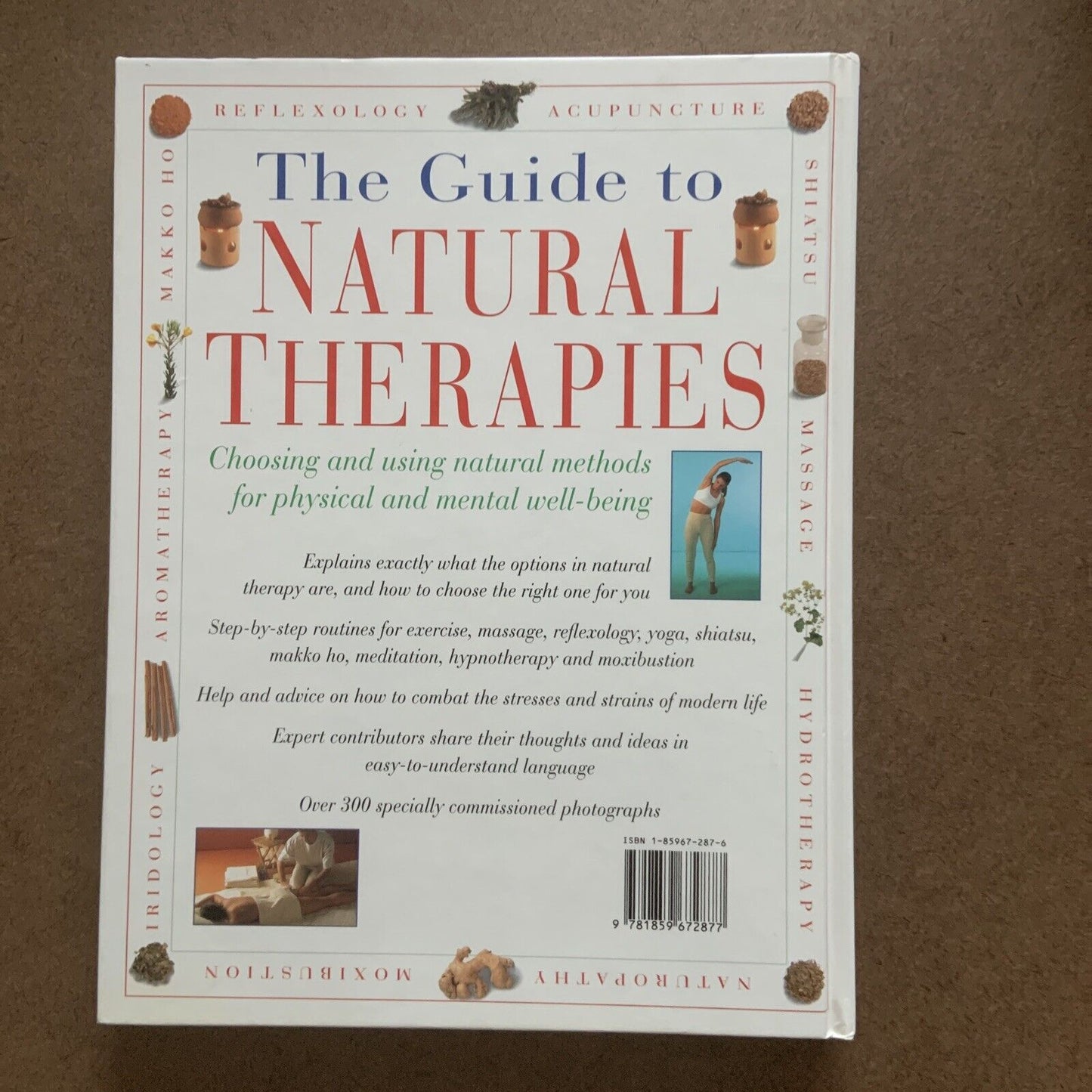 The Guide to Natural Therapies Choosing and Using Natural Methods for Physical