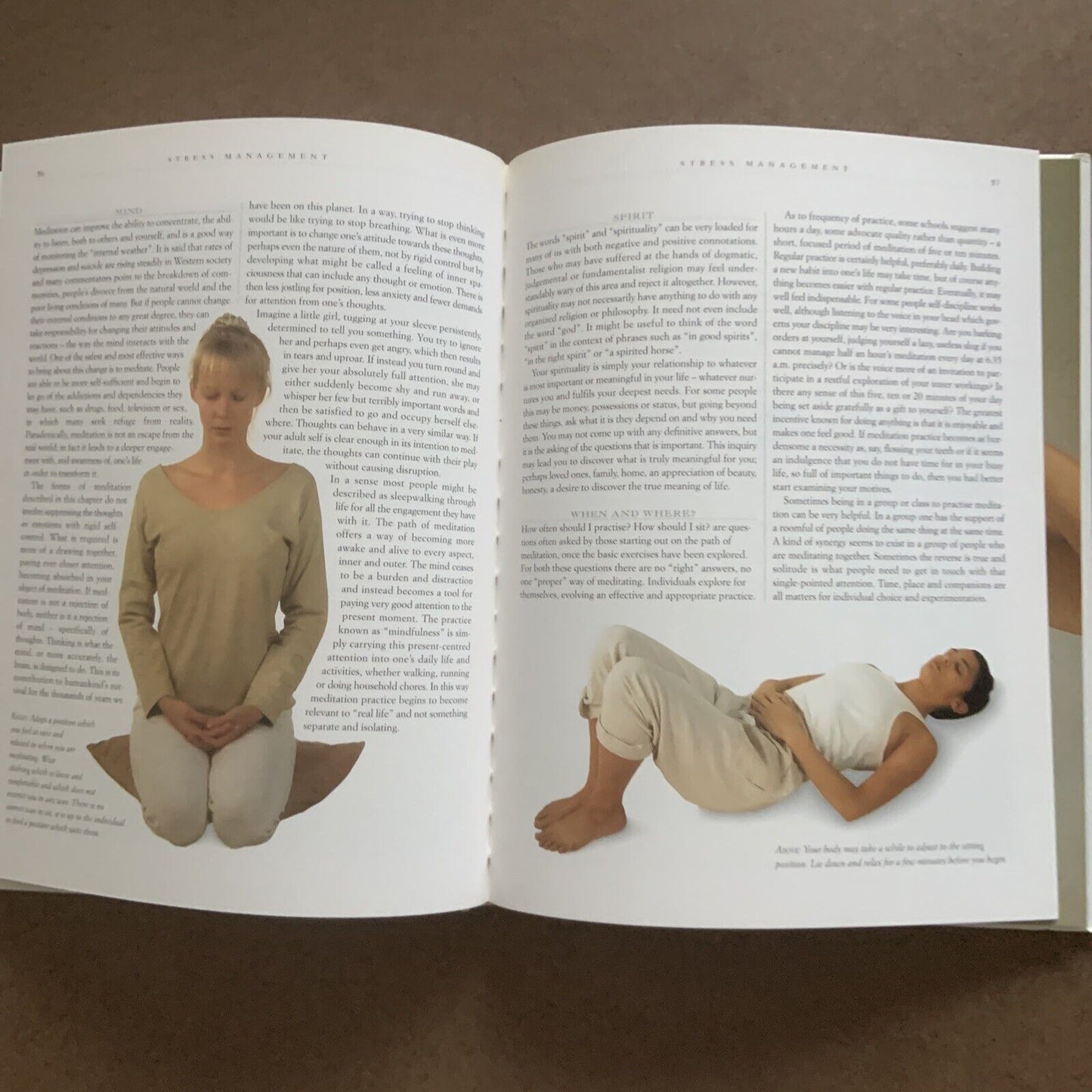 The Guide to Natural Therapies Choosing and Using Natural Methods for Physical