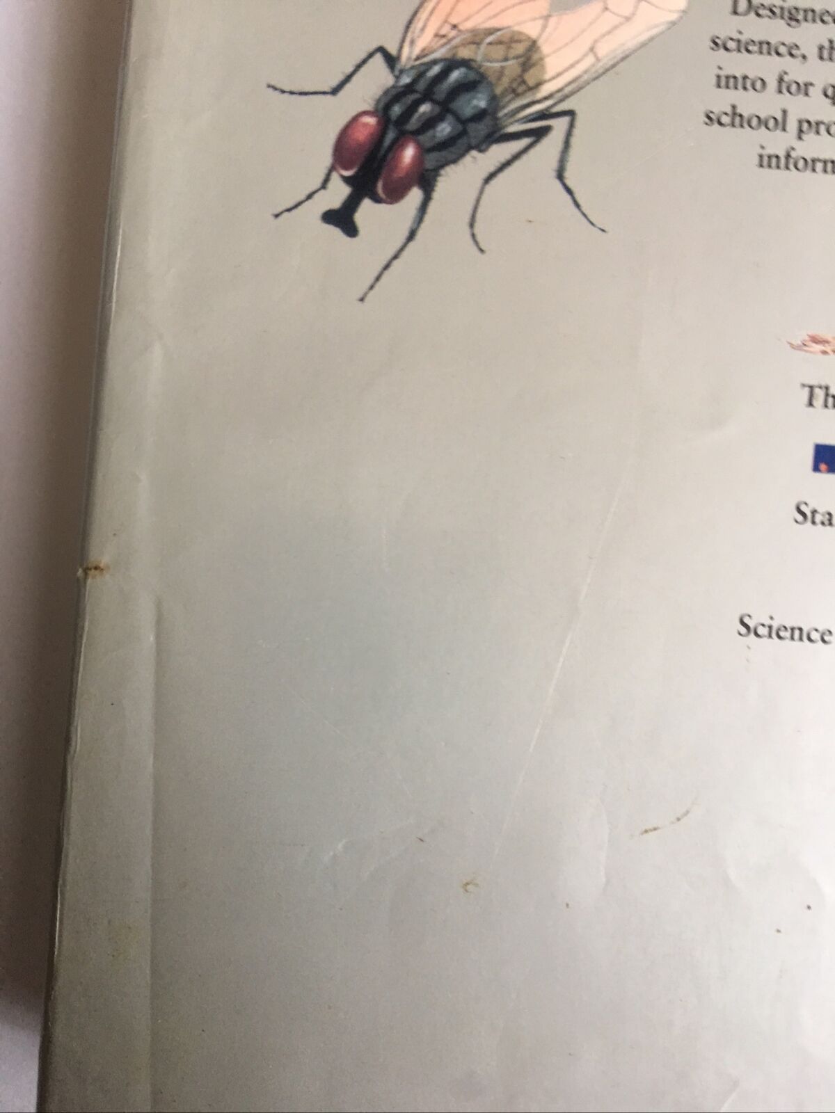 HC Book Kingfisher Visual Encyclopaedia of Science By Brian Williams Textbook