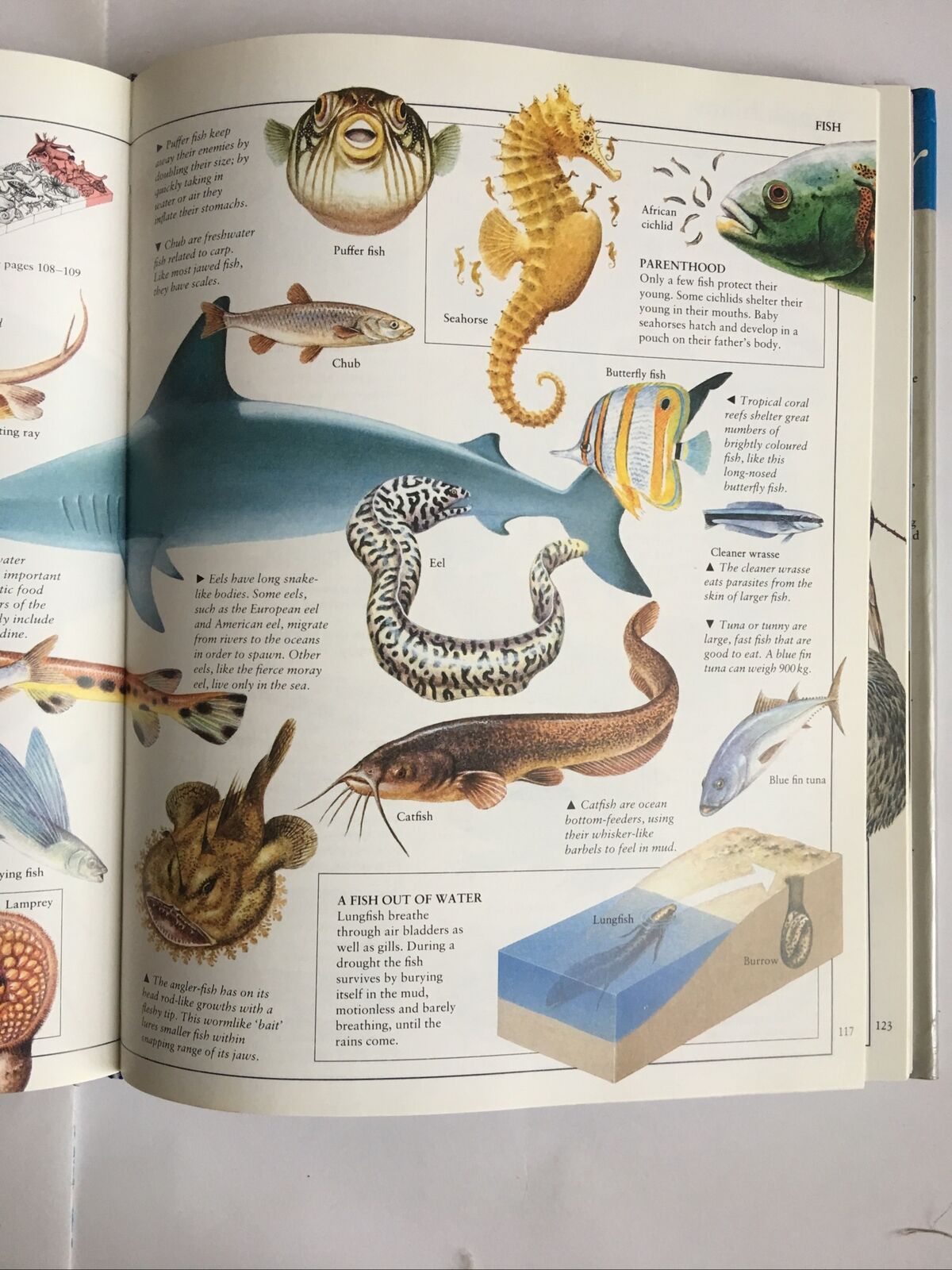 HC Book Kingfisher Visual Encyclopaedia of Science By Brian Williams Textbook