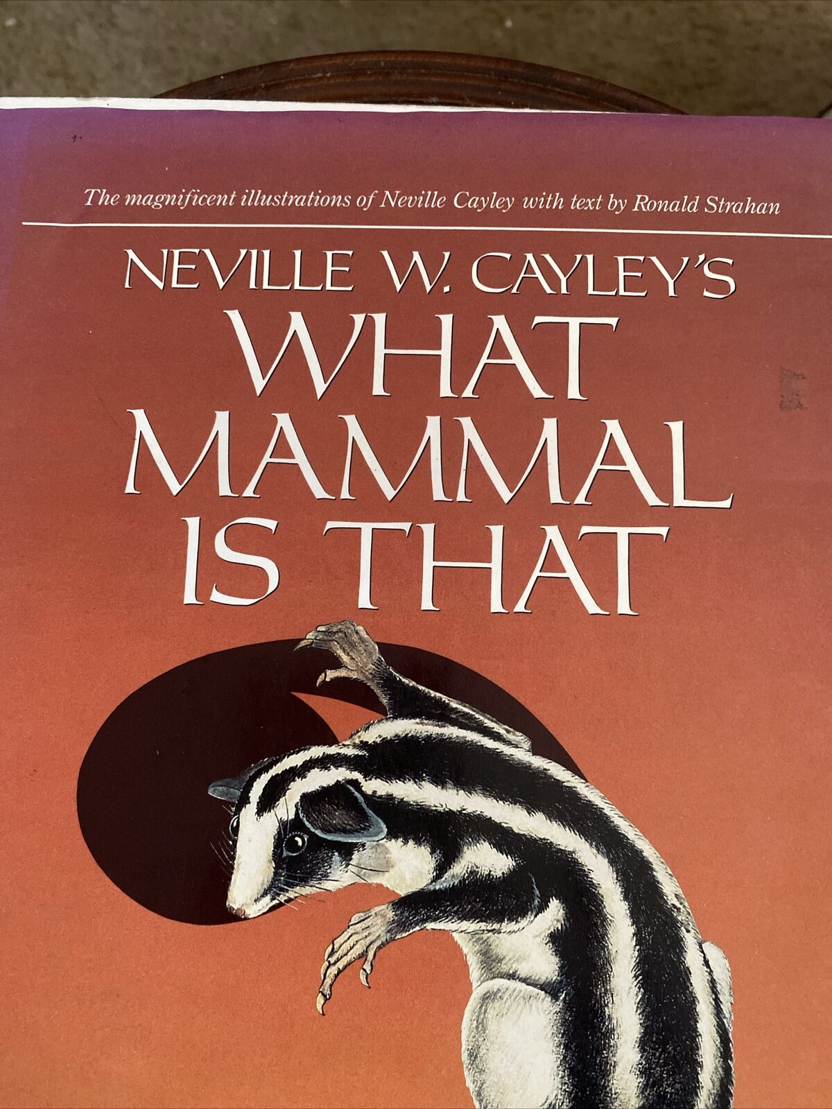 HC Neville W Cayley WHAT MAMMAL IS THAT ? 250 Species Illustrated Colour DJ 1991