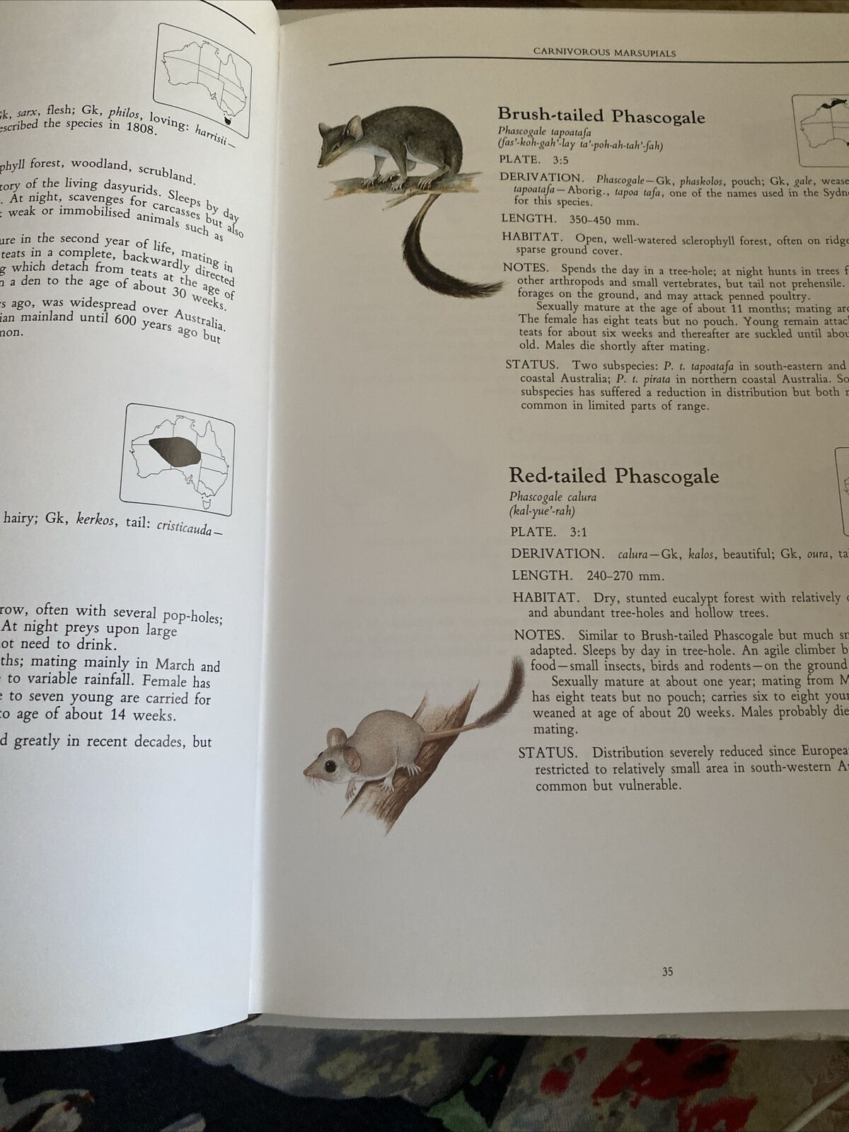 HC Neville W Cayley WHAT MAMMAL IS THAT ? 250 Species Illustrated Colour DJ 1991