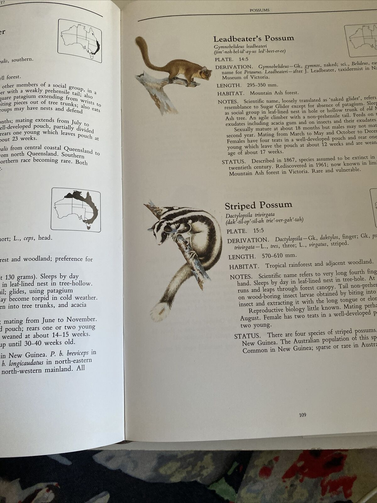 HC Neville W Cayley WHAT MAMMAL IS THAT ? 250 Species Illustrated Colour DJ 1991