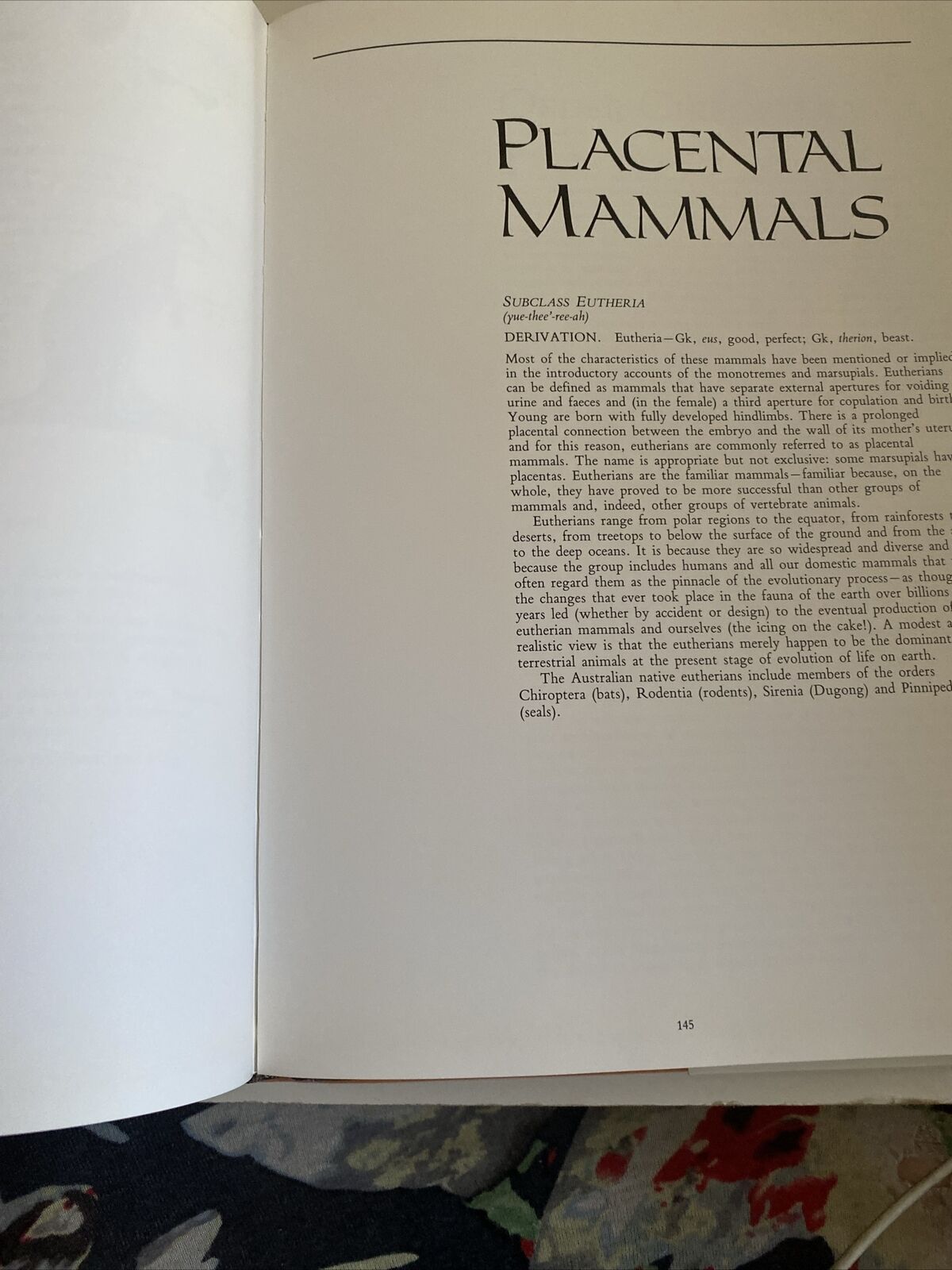 HC Neville W Cayley WHAT MAMMAL IS THAT ? 250 Species Illustrated Colour DJ 1991