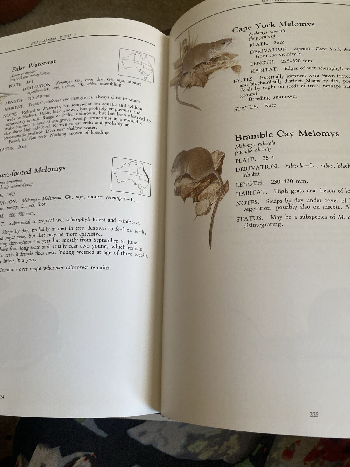 HC Neville W Cayley WHAT MAMMAL IS THAT ? 250 Species Illustrated Colour DJ 1991