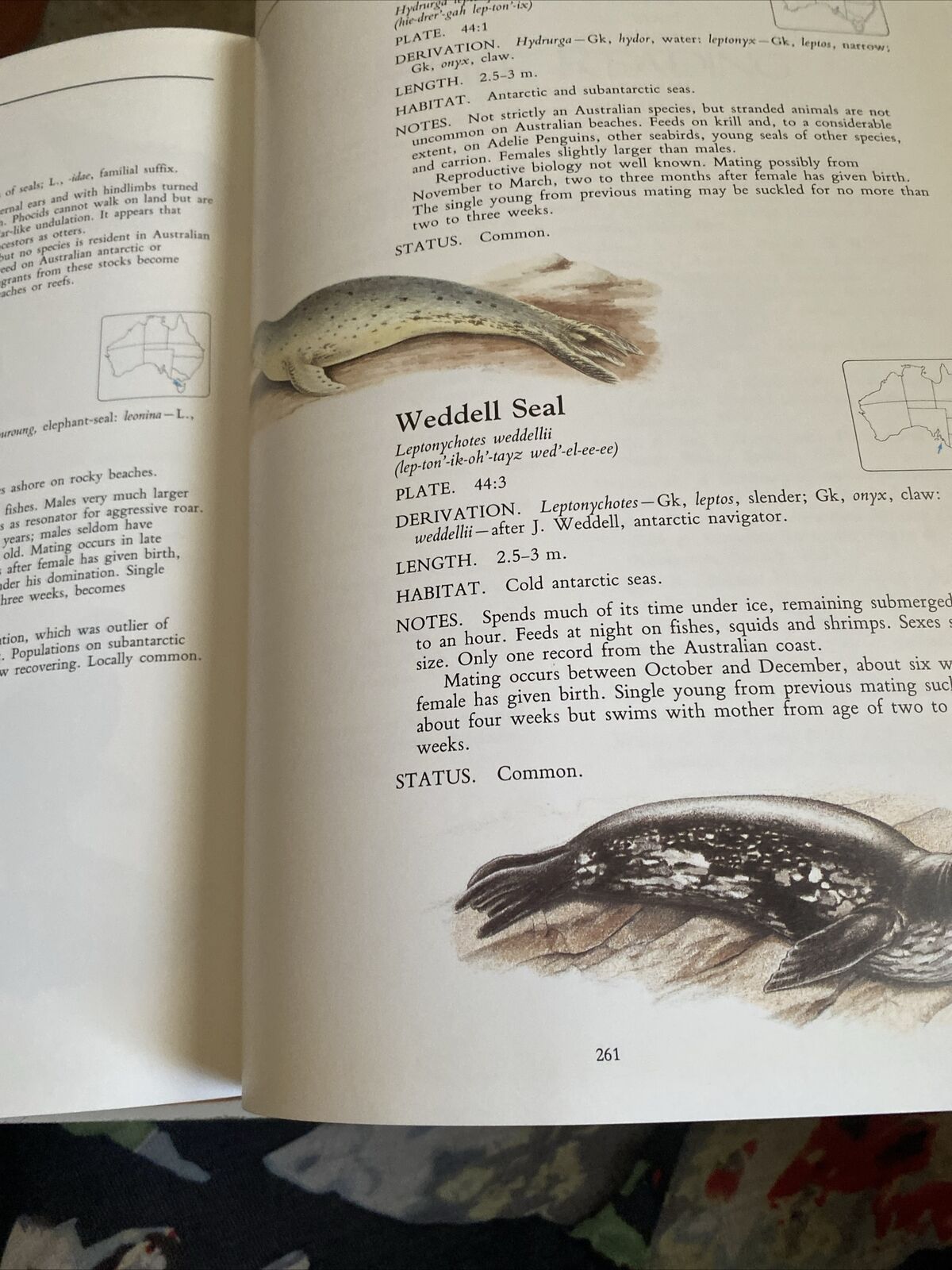 HC Neville W Cayley WHAT MAMMAL IS THAT ? 250 Species Illustrated Colour DJ 1991