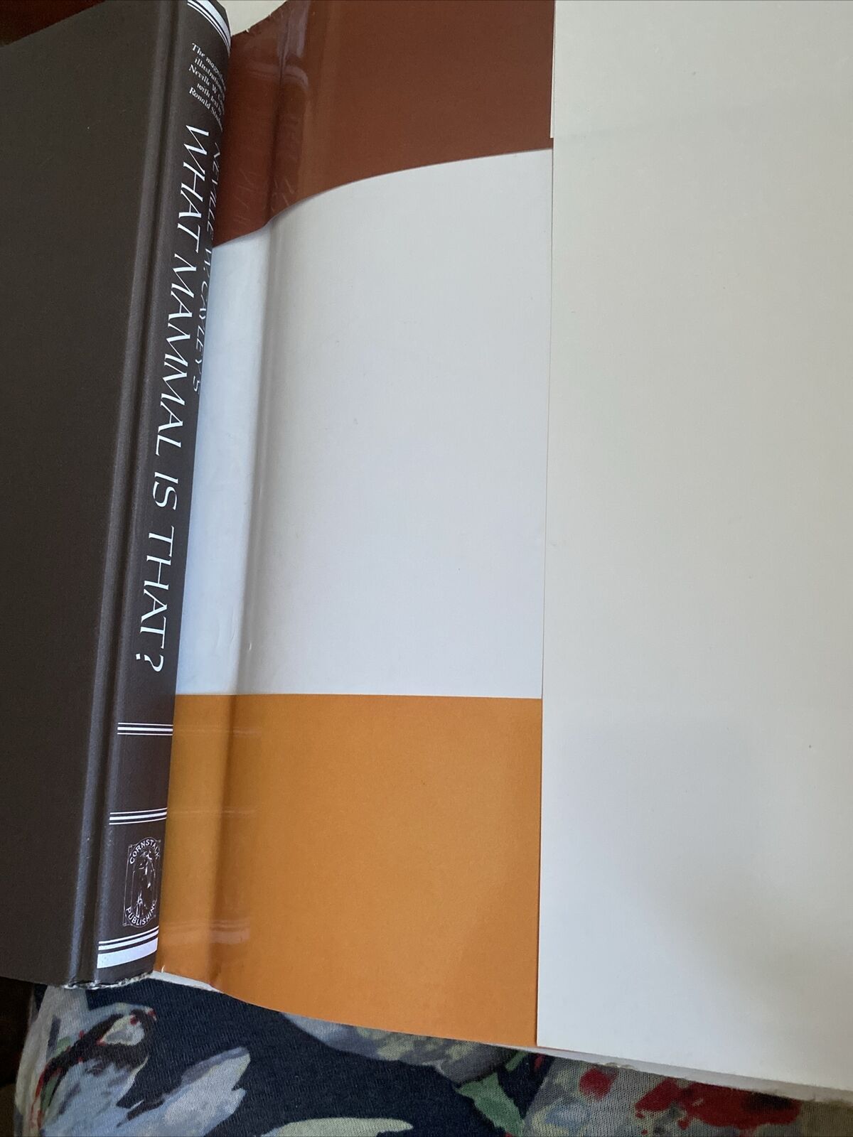 HC Neville W Cayley WHAT MAMMAL IS THAT ? 250 Species Illustrated Colour DJ 1991