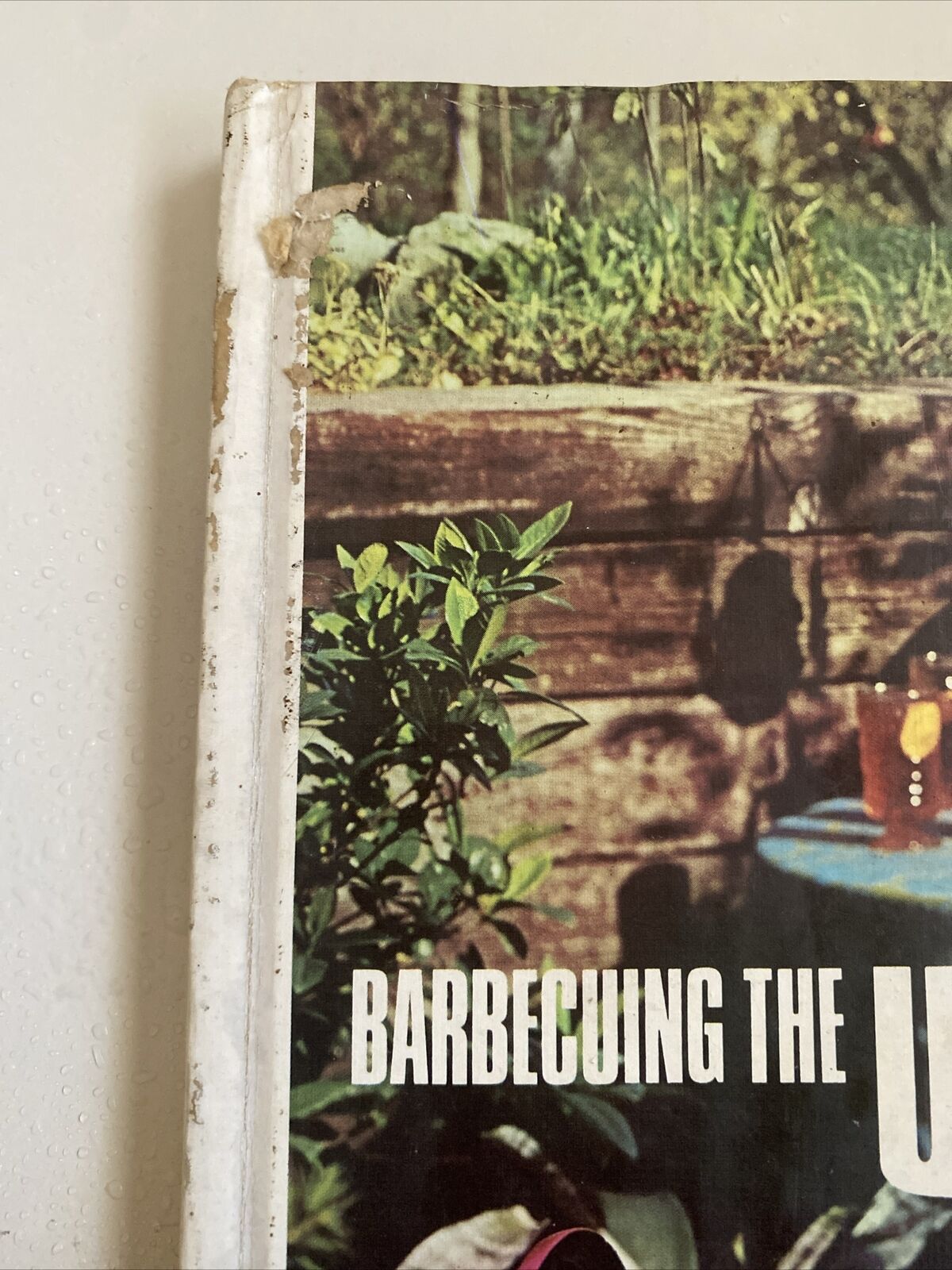 Cookbook BARBECUING the WEBER Covered Way Vintage 1985 BBQ Cookout Recipe Book