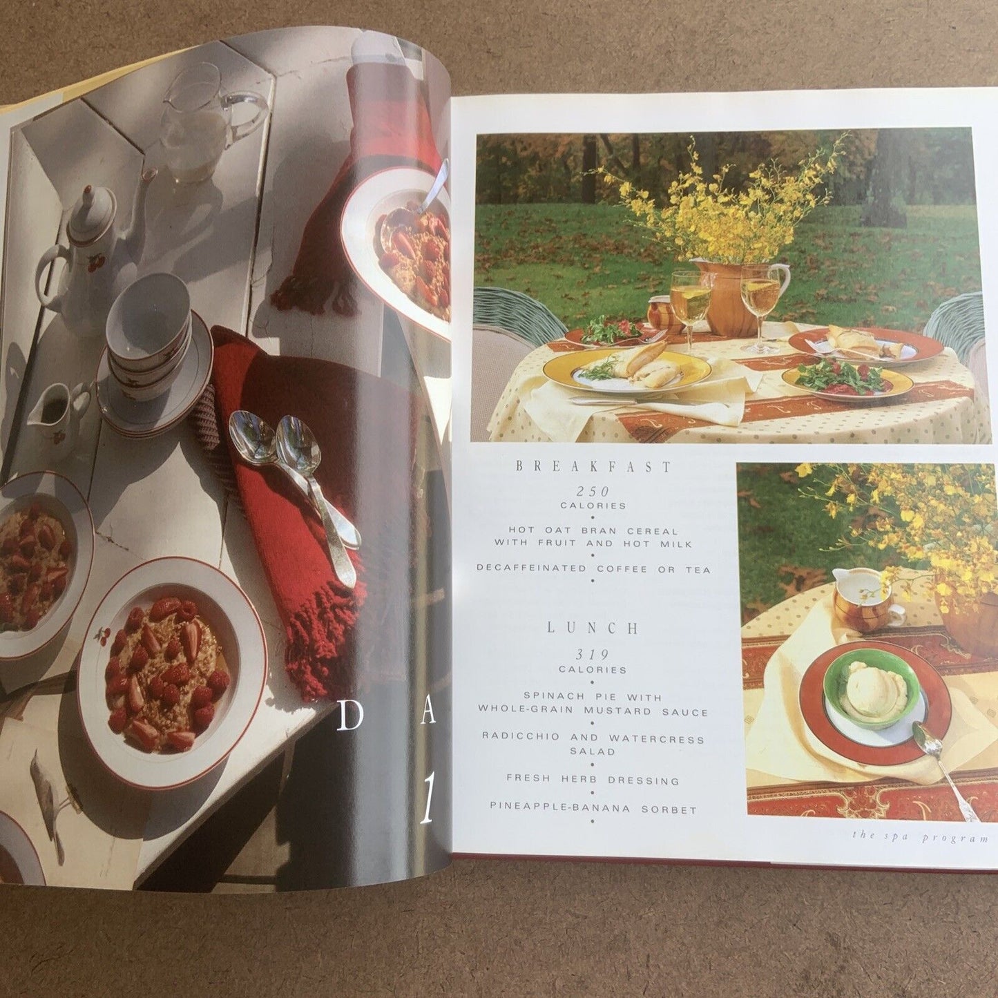 Cookbook SPA FOOD by Edward Safdie Recipes NEW
