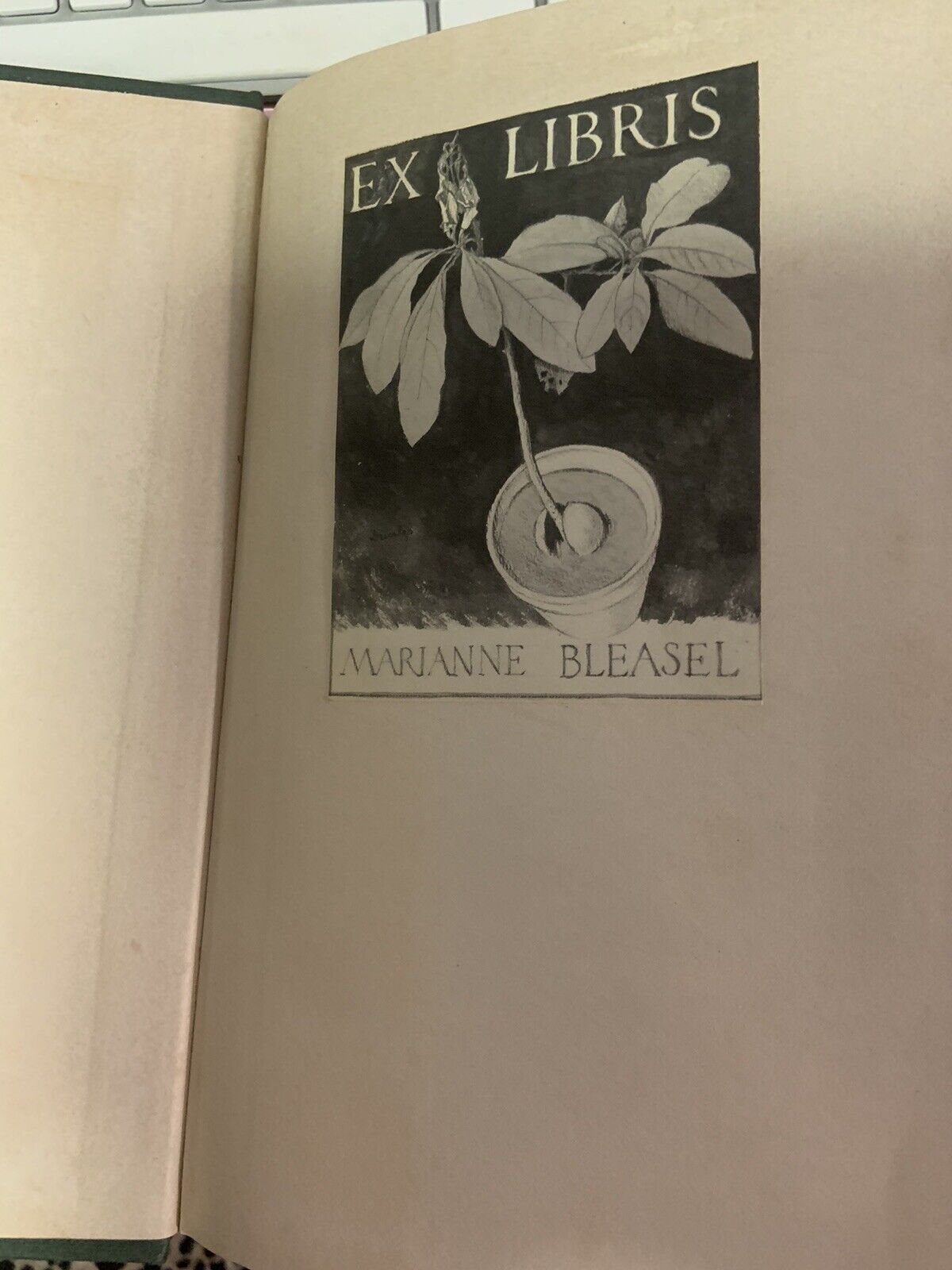 JESSIE STREET  Truth or Repose 1966 1st Edition HC Book DJ Women Equality Status