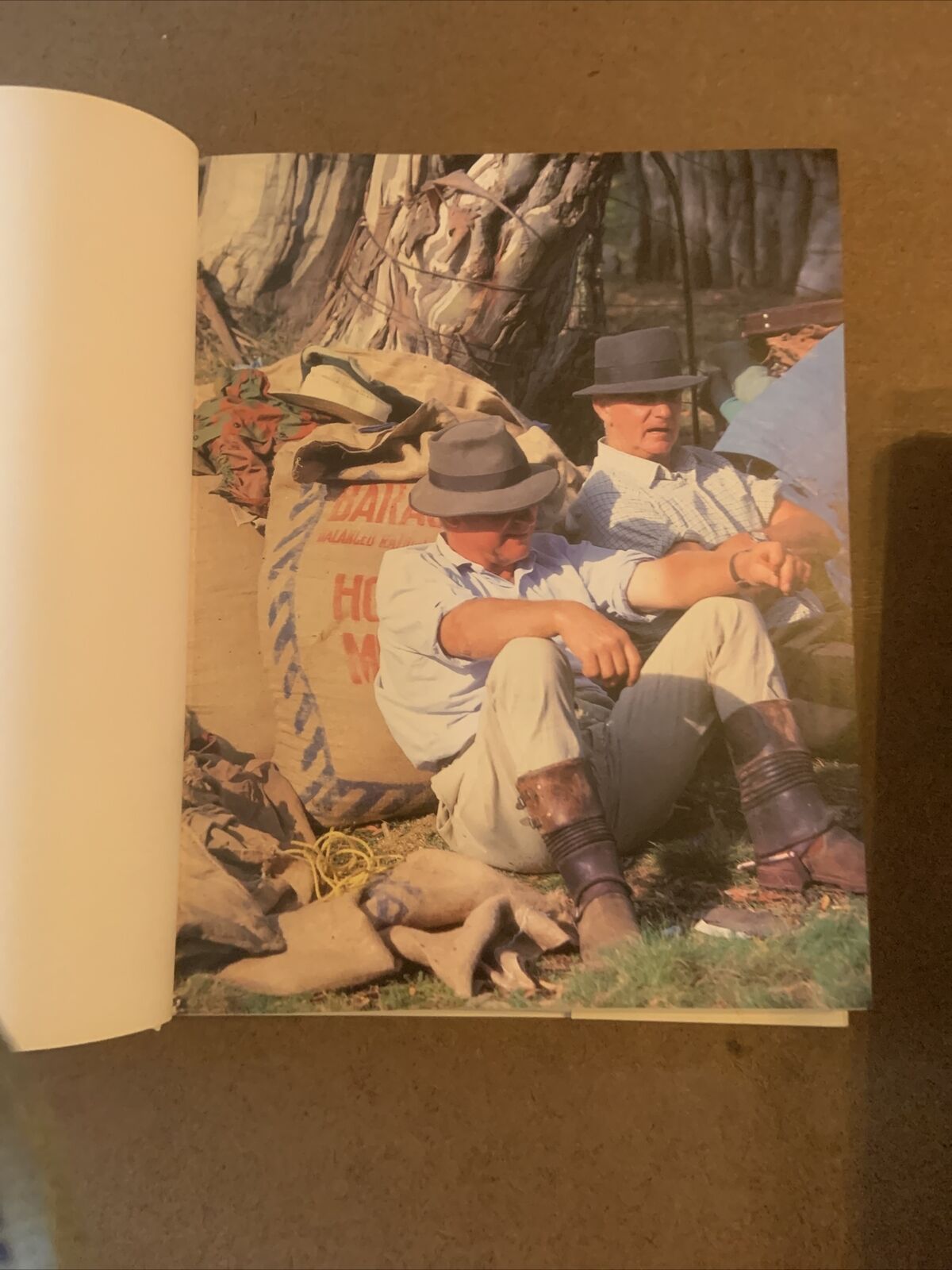 Jack Thompson DOWN UNDER Anne Matthews Coffee Table Book Large HC DJ