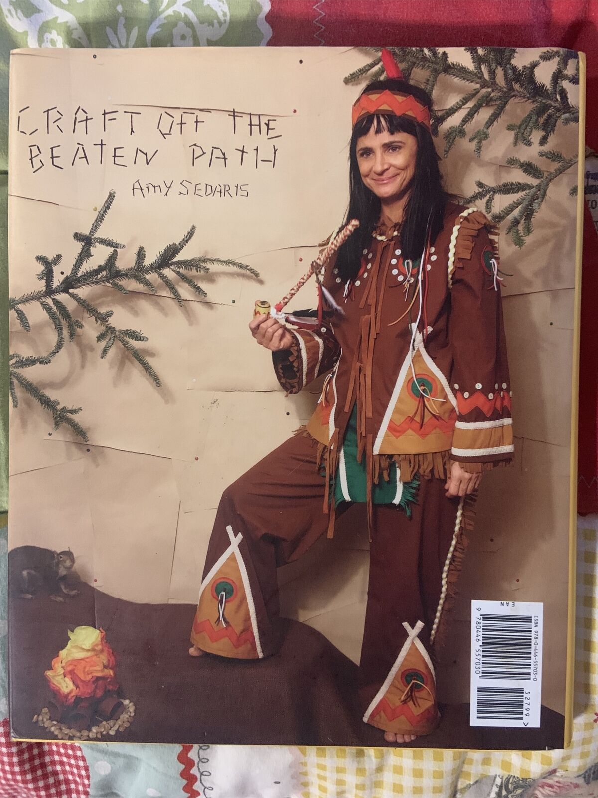 SIMPLE TIMES Crafts for Poor People by Amy Sedaris First Edition 2010 HC Book DJ