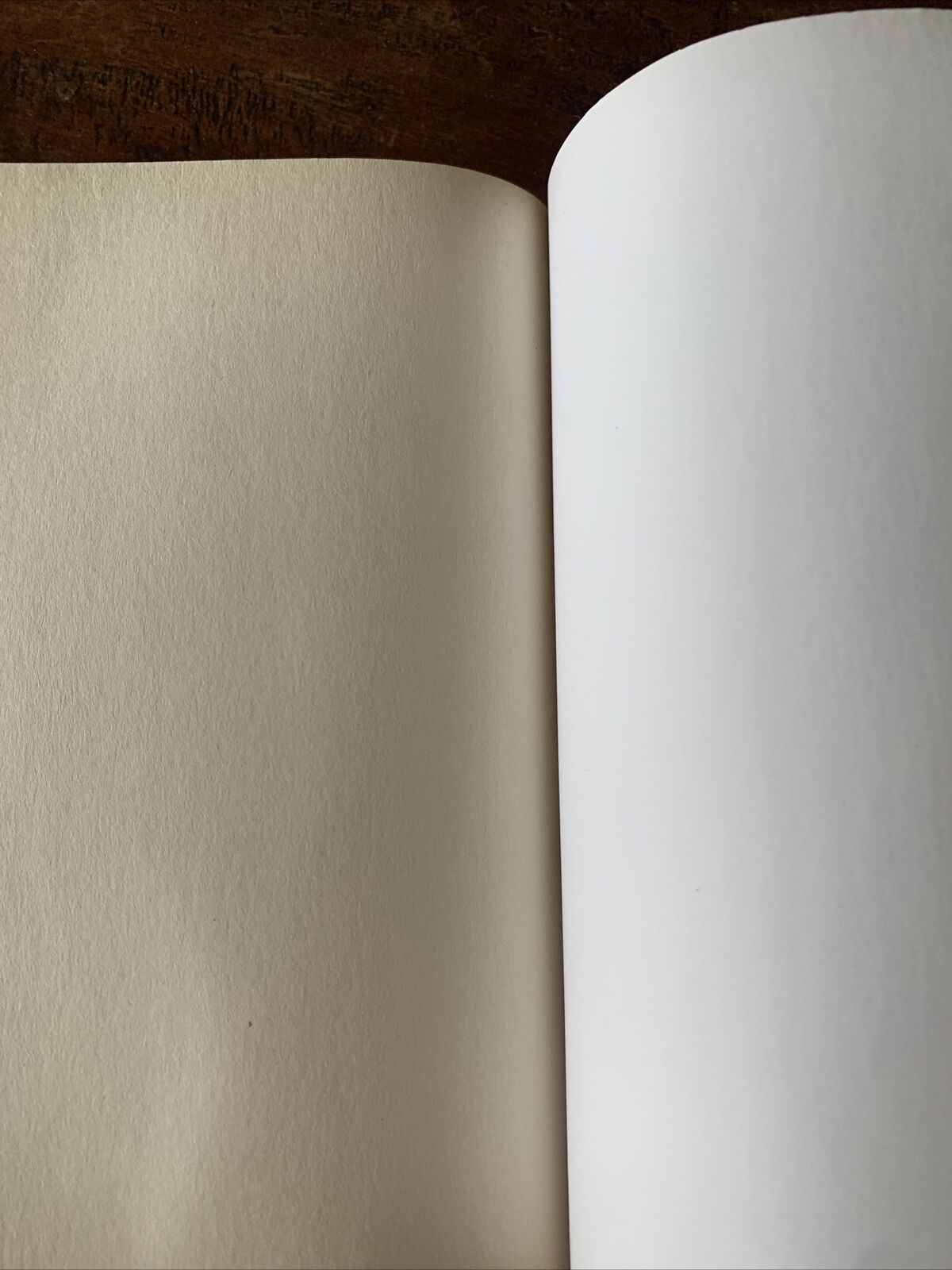 PB Book Signed Copy SENSING PSYCHIC by Mitchell Coombes 2016 " To Ashleigh "
