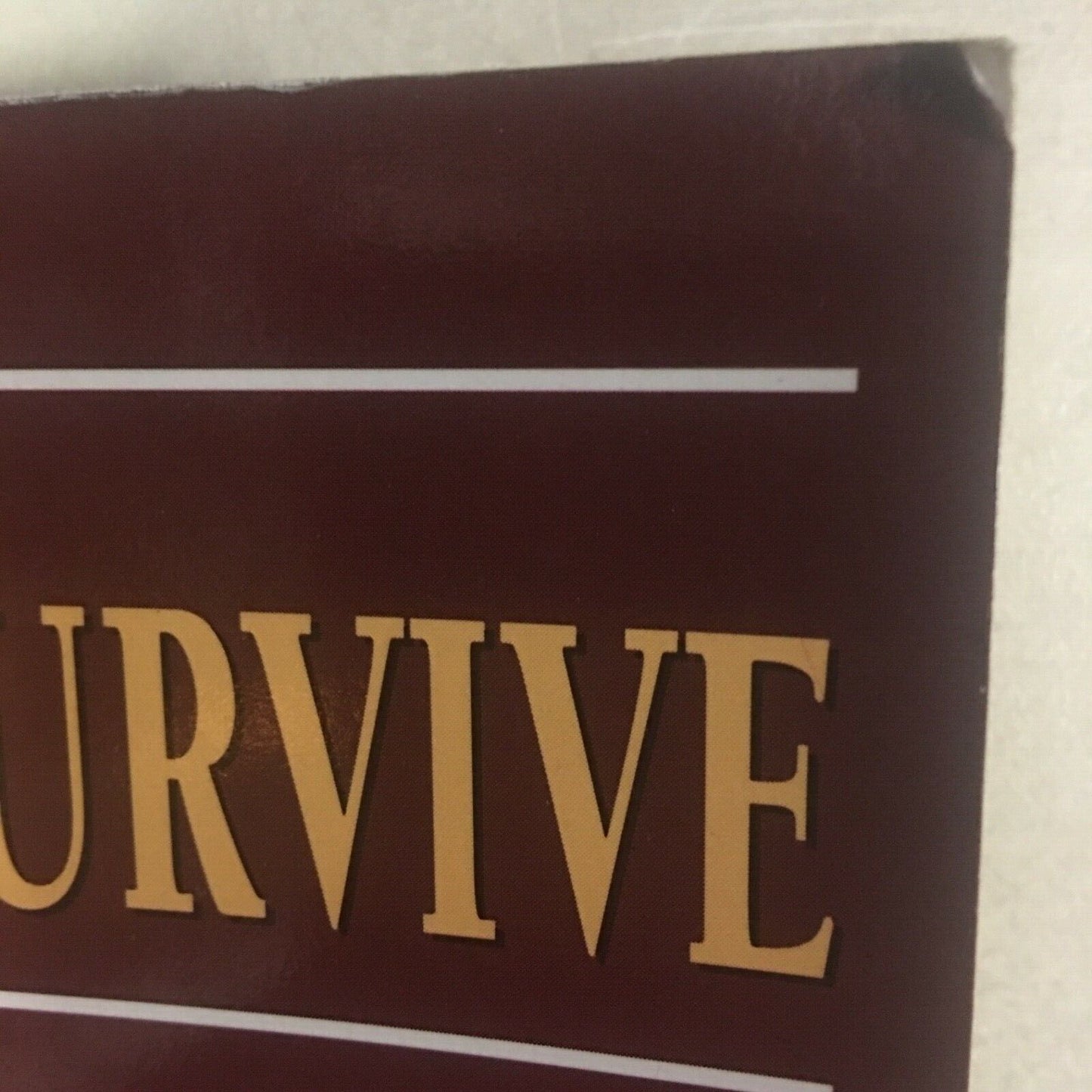 Signed* THE WILL TO SURVIVE A Private's View as a POW by Douglas McLaggan 1995