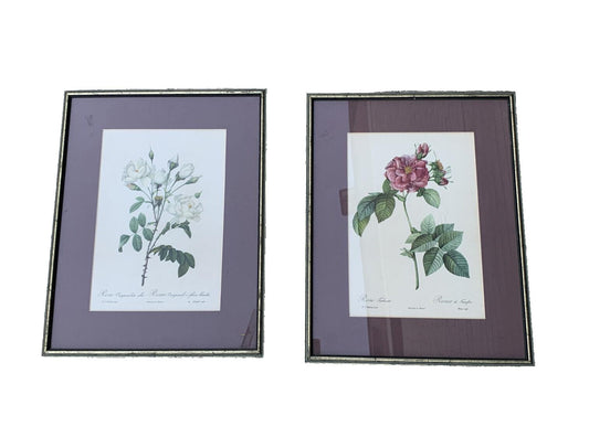 Pair ROSES Glazed Framed Prints Pink & White Floral Art Ready to Hang 53.5cm