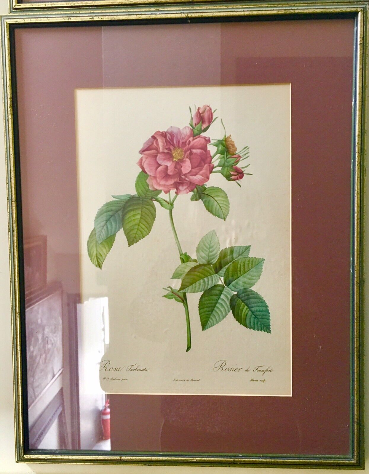 Pair ROSES Glazed Framed Prints Pink & White Floral Art Ready to Hang 53.5cm