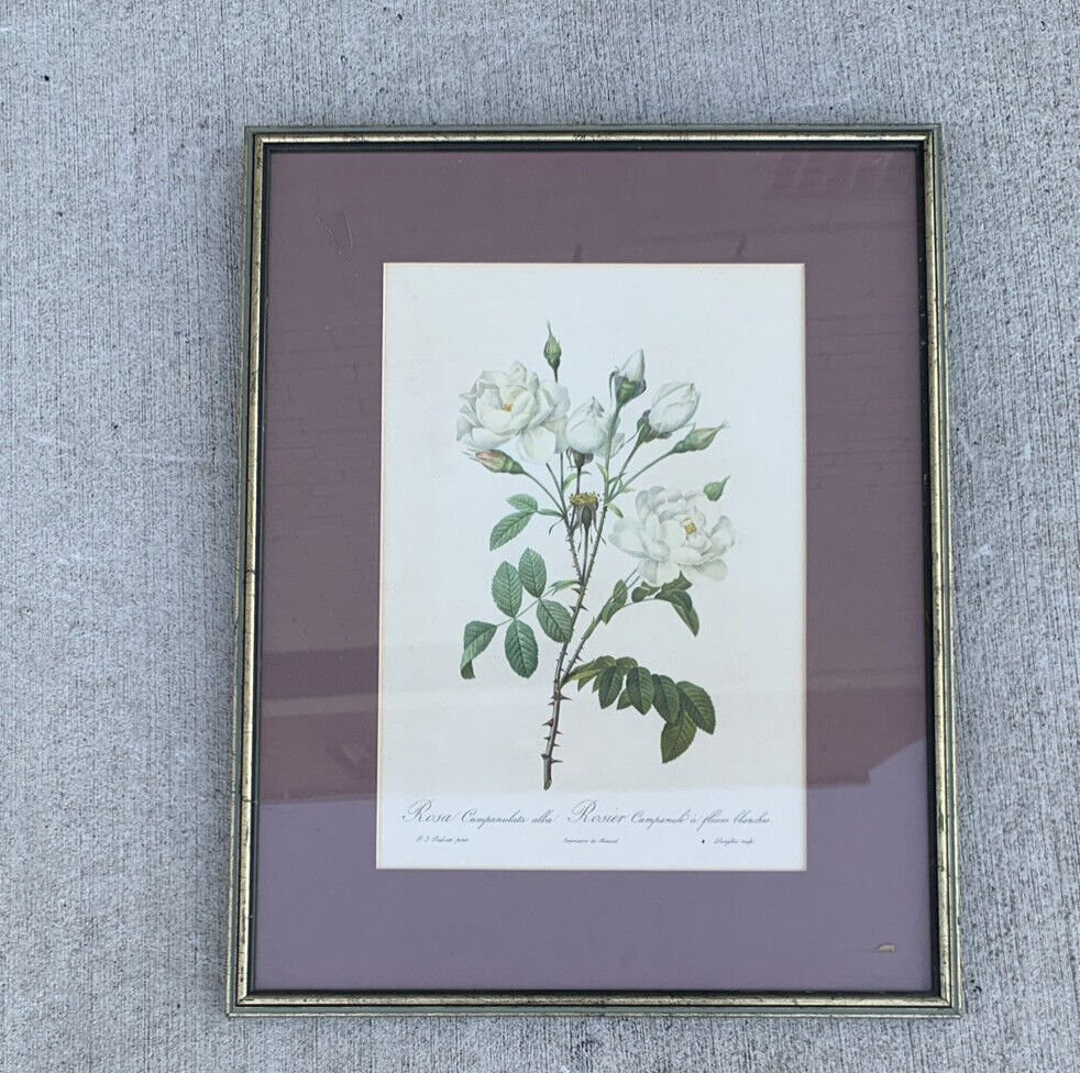 Pair ROSES Glazed Framed Prints Pink & White Floral Art Ready to Hang 53.5cm