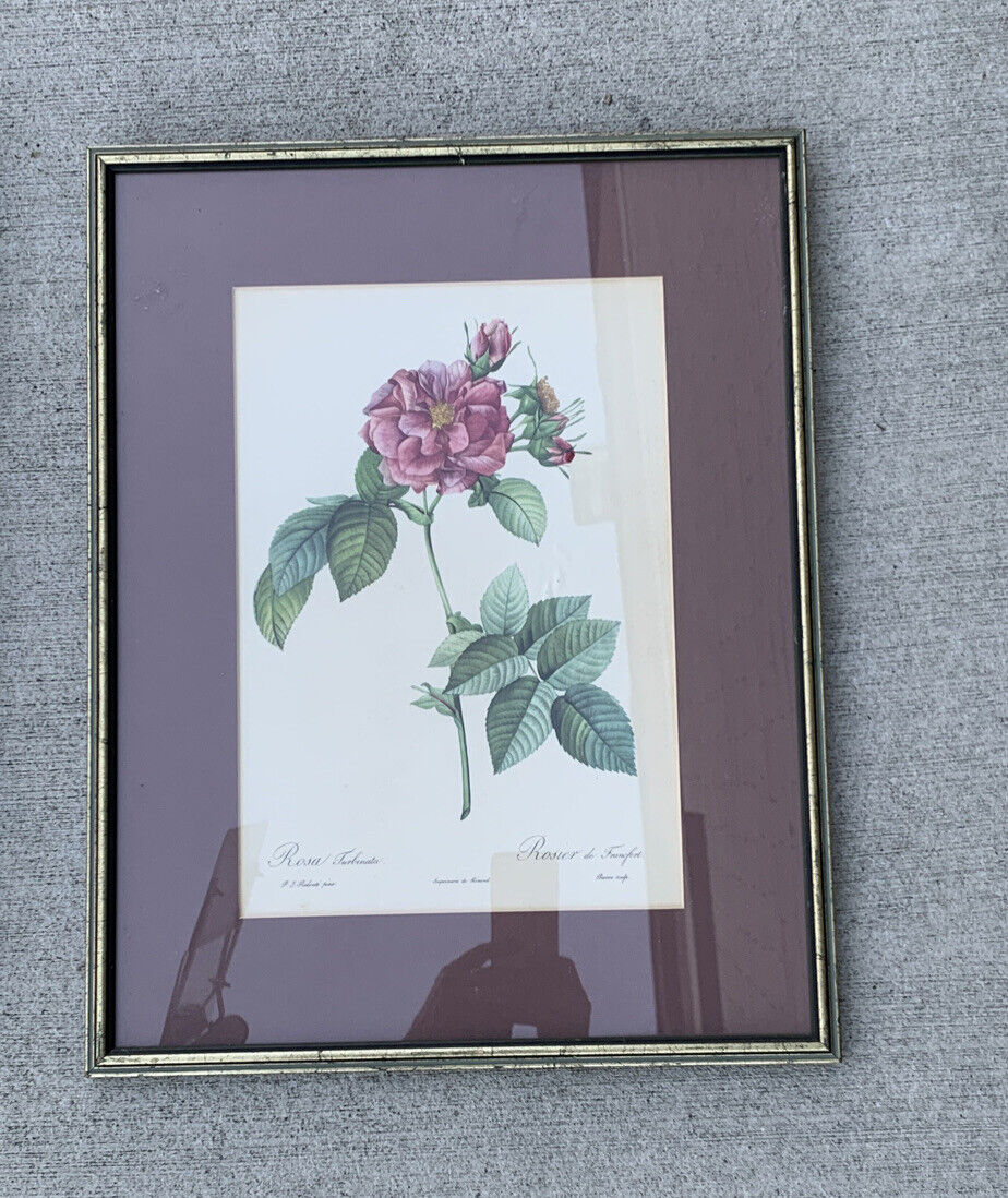 Pair ROSES Glazed Framed Prints Pink & White Floral Art Ready to Hang 53.5cm