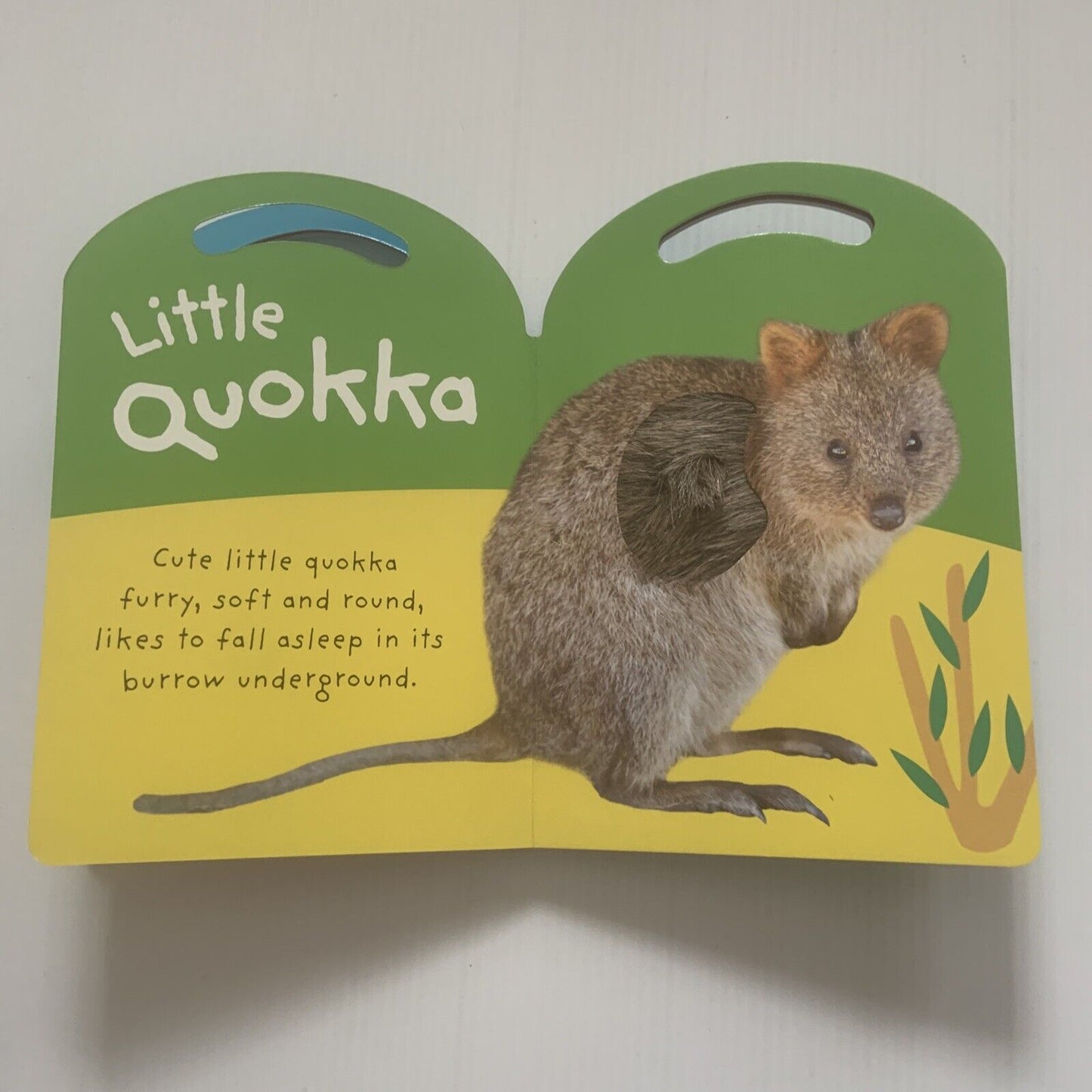 BAY KOALA Baby Touch & Feel by Roger Priddy Interactive 3D Baby Hard Card Book