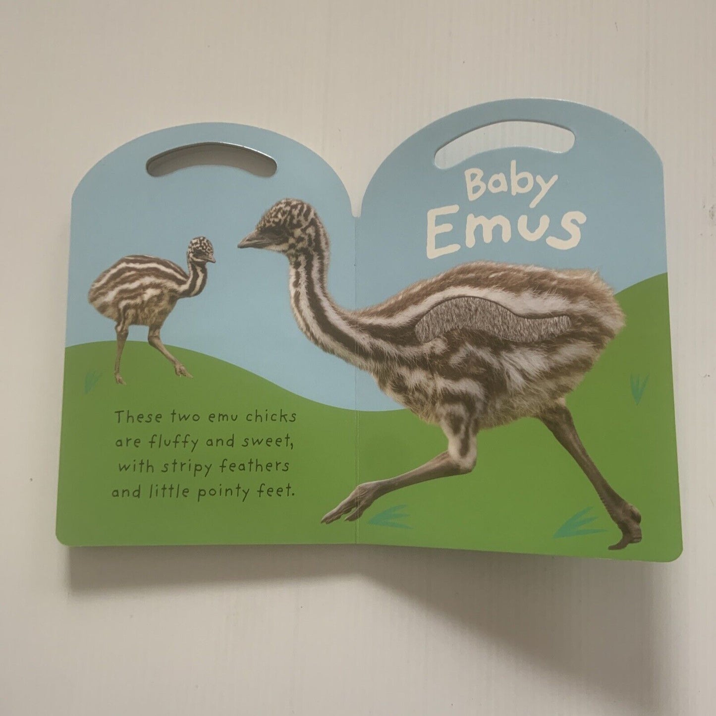 BAY KOALA Baby Touch & Feel by Roger Priddy Interactive 3D Baby Hard Card Book
