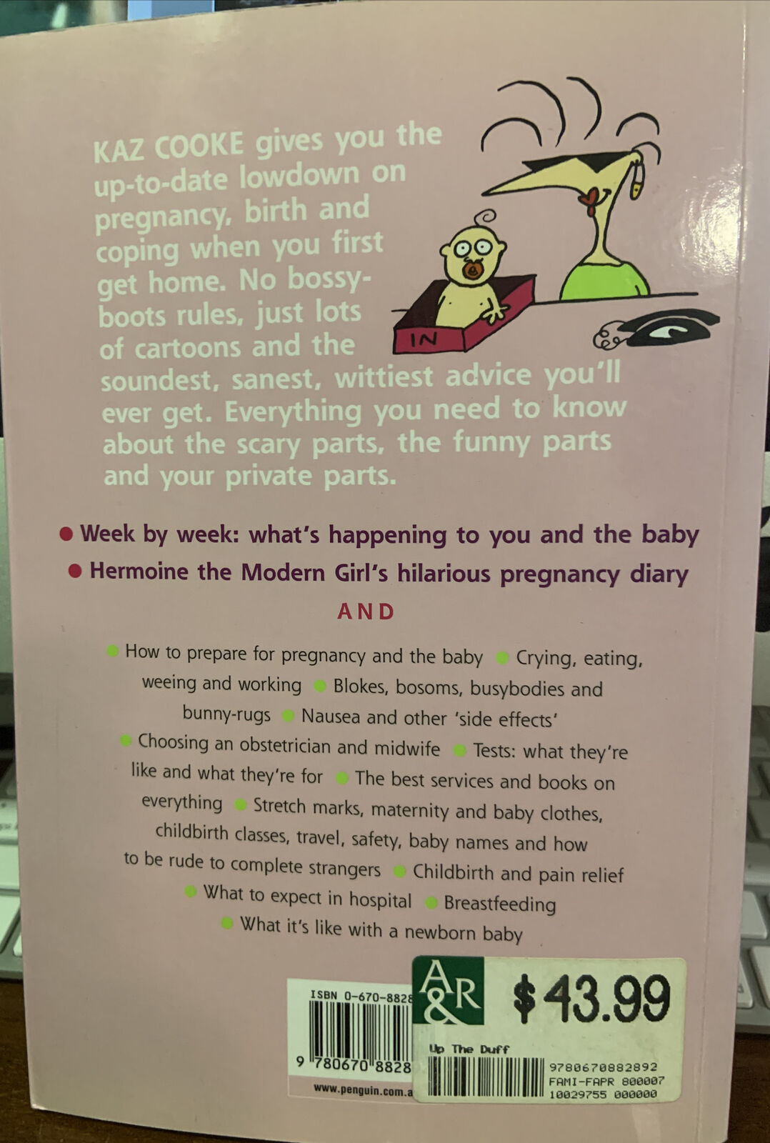 PB Book UP THE DUFF The Real Guide to Pregnancy Kaz Cooke 1999 Birth Parenting